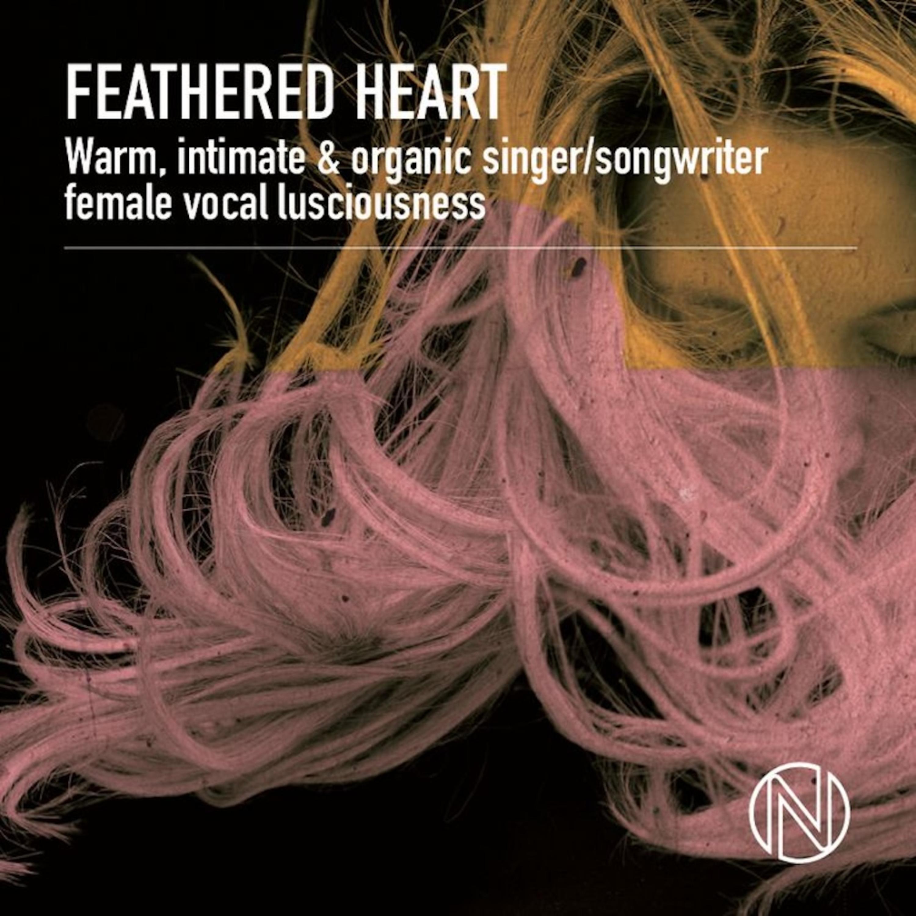 Feathered Heart artwork