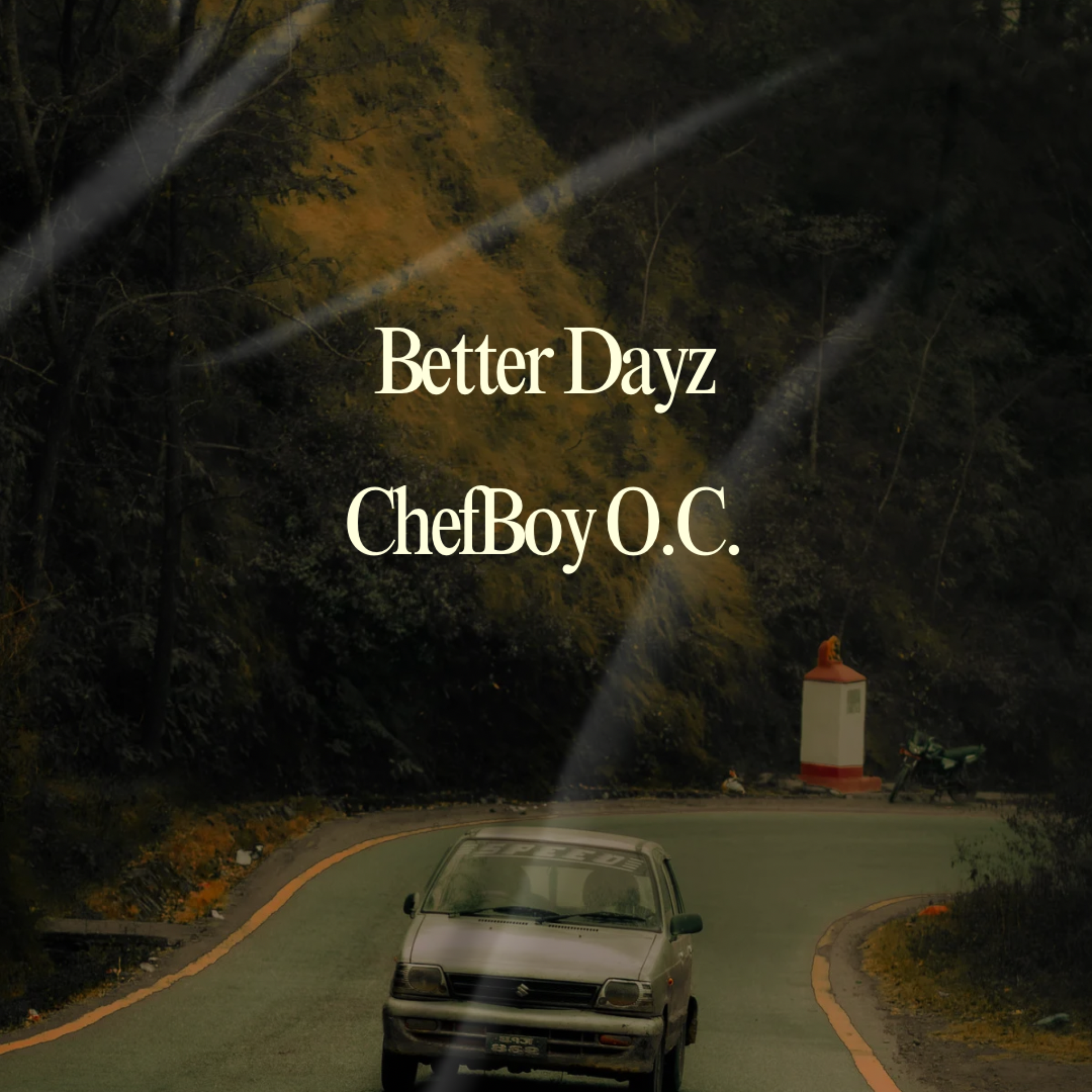 Better Dayz artwork