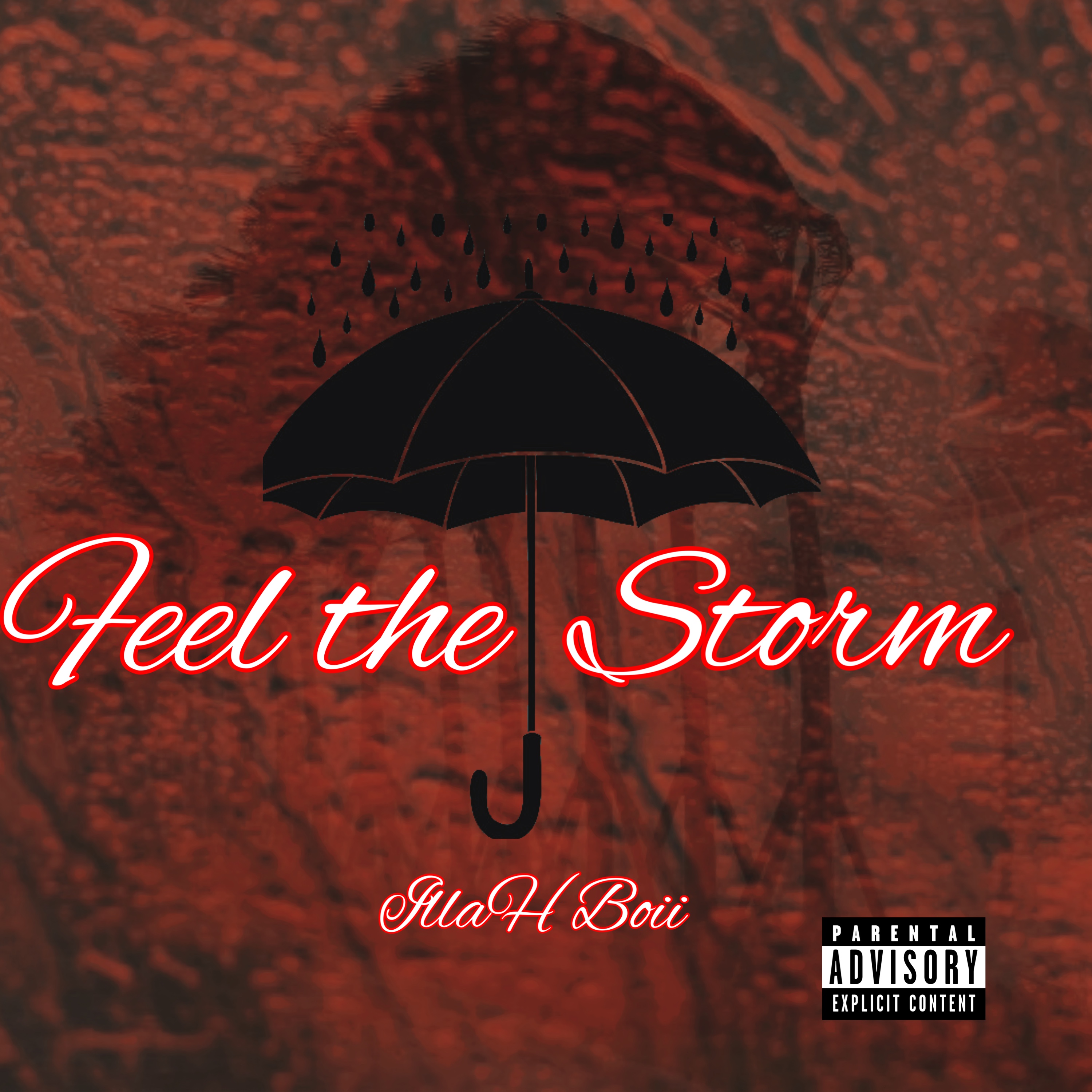 Feel The Storm artwork