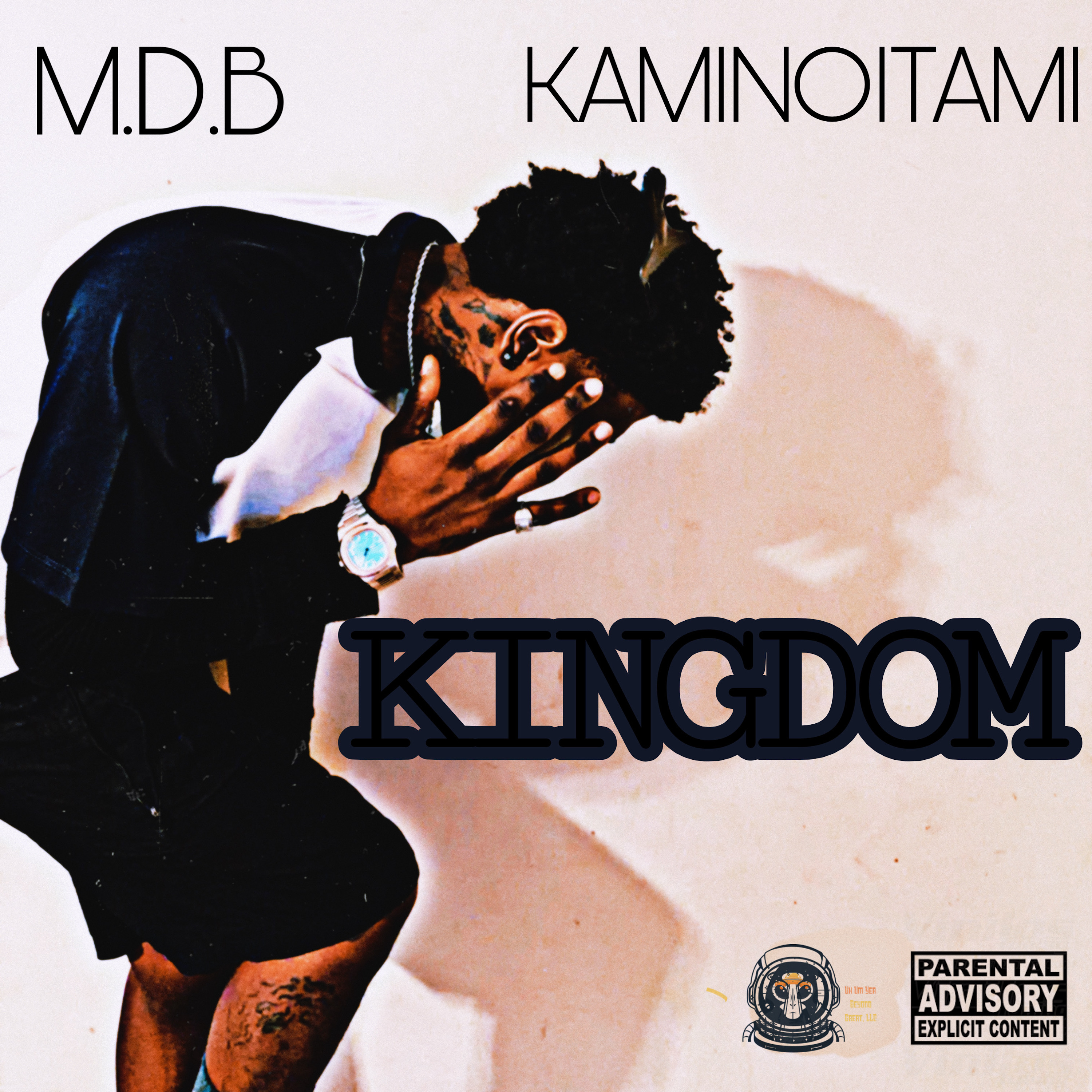 Kingdom artwork