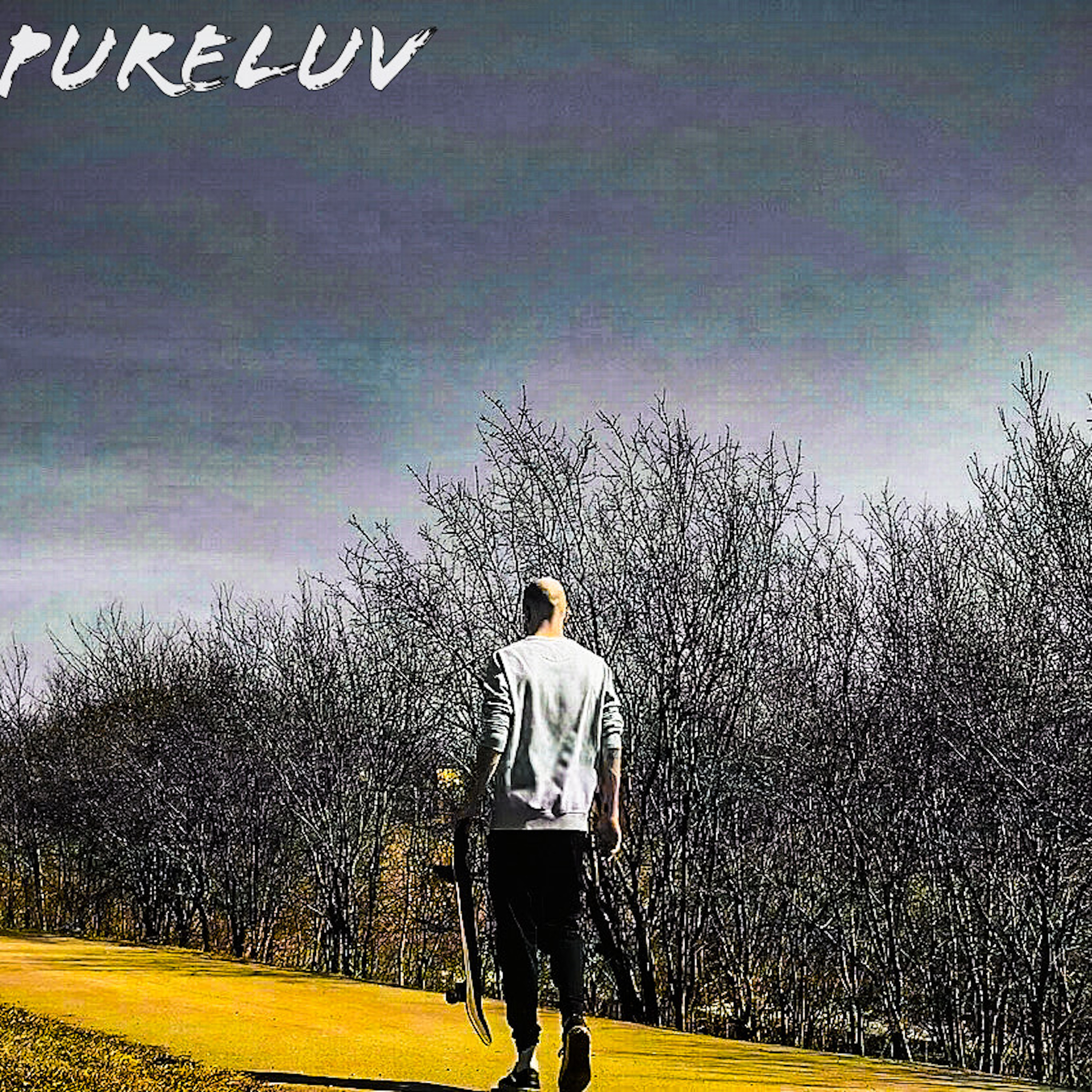Pureluv artwork