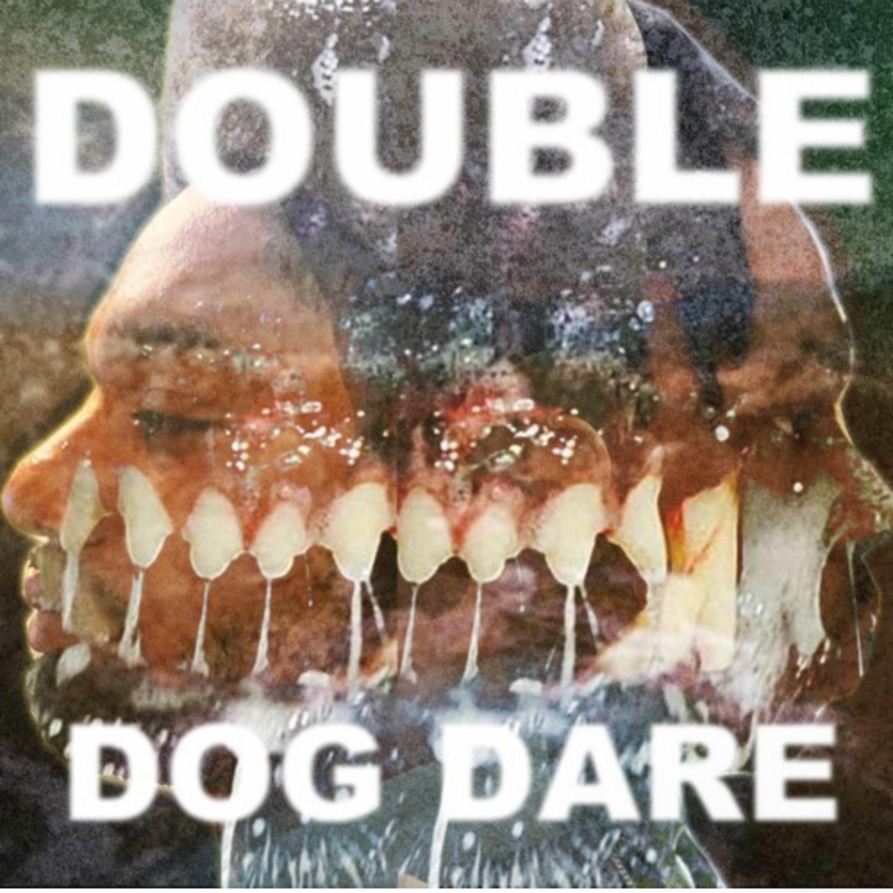 Double Dog Dare artwork