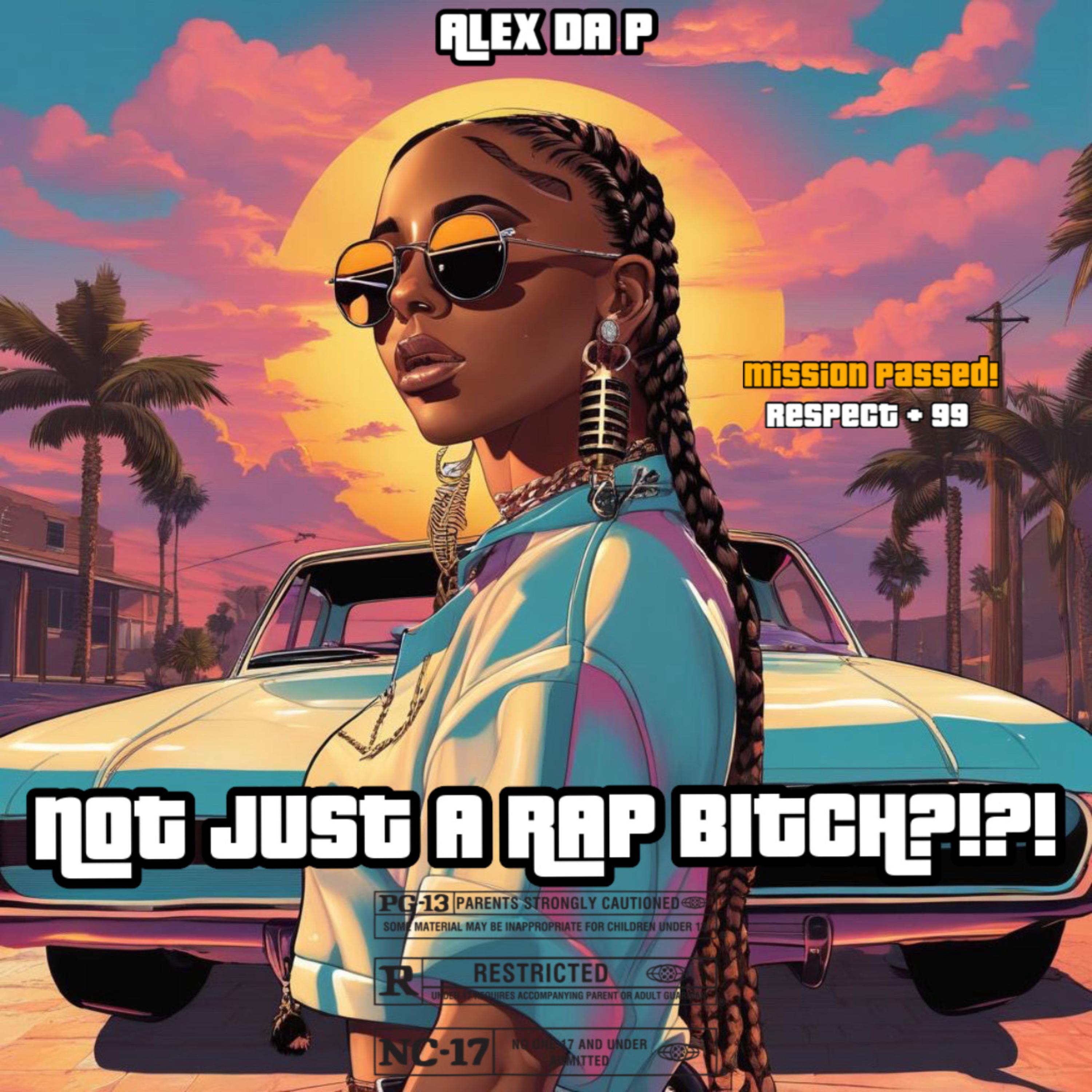 NOT JUST A RAP B%#!? artwork