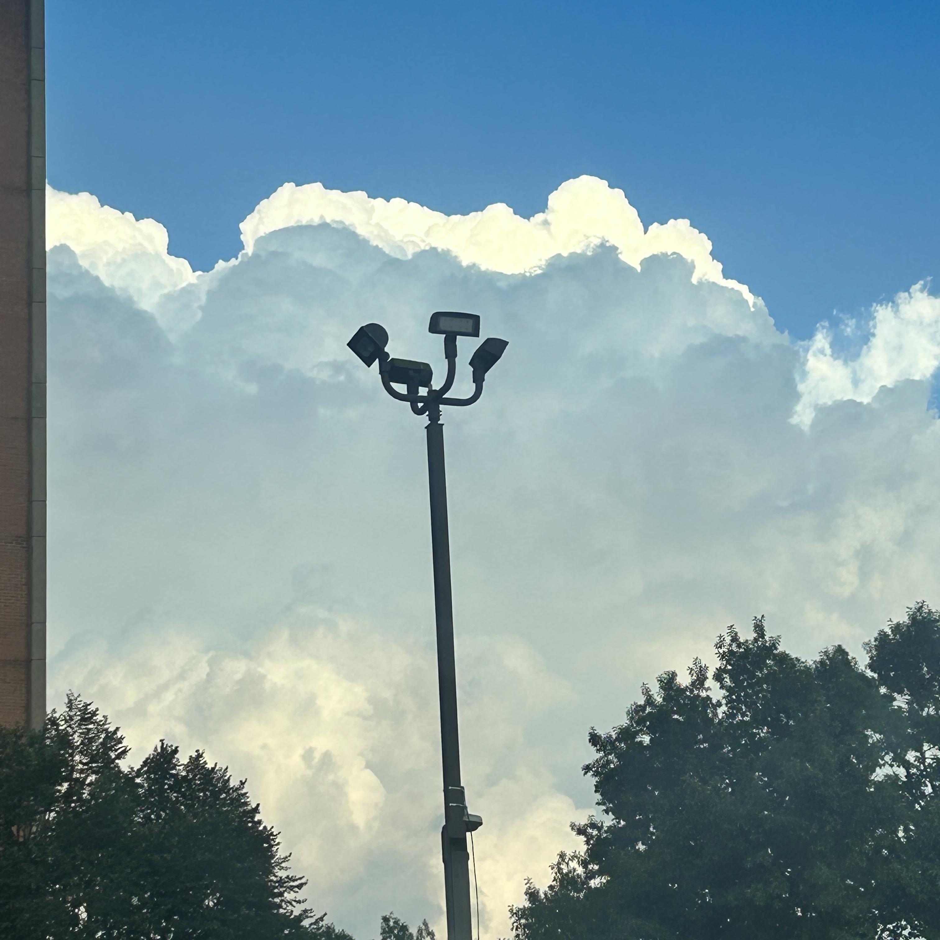 Project 2025 artwork