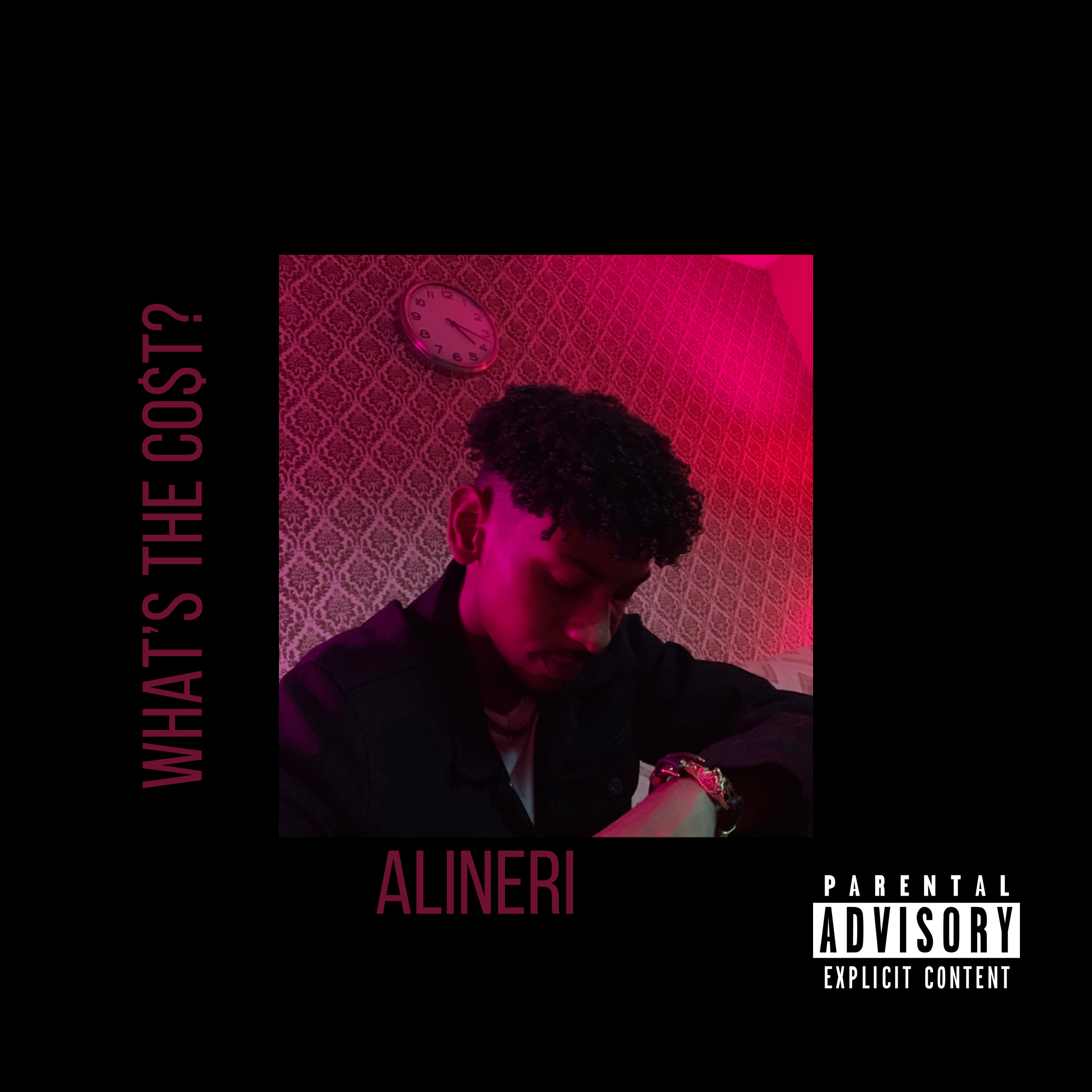 Whats The Co$t artwork