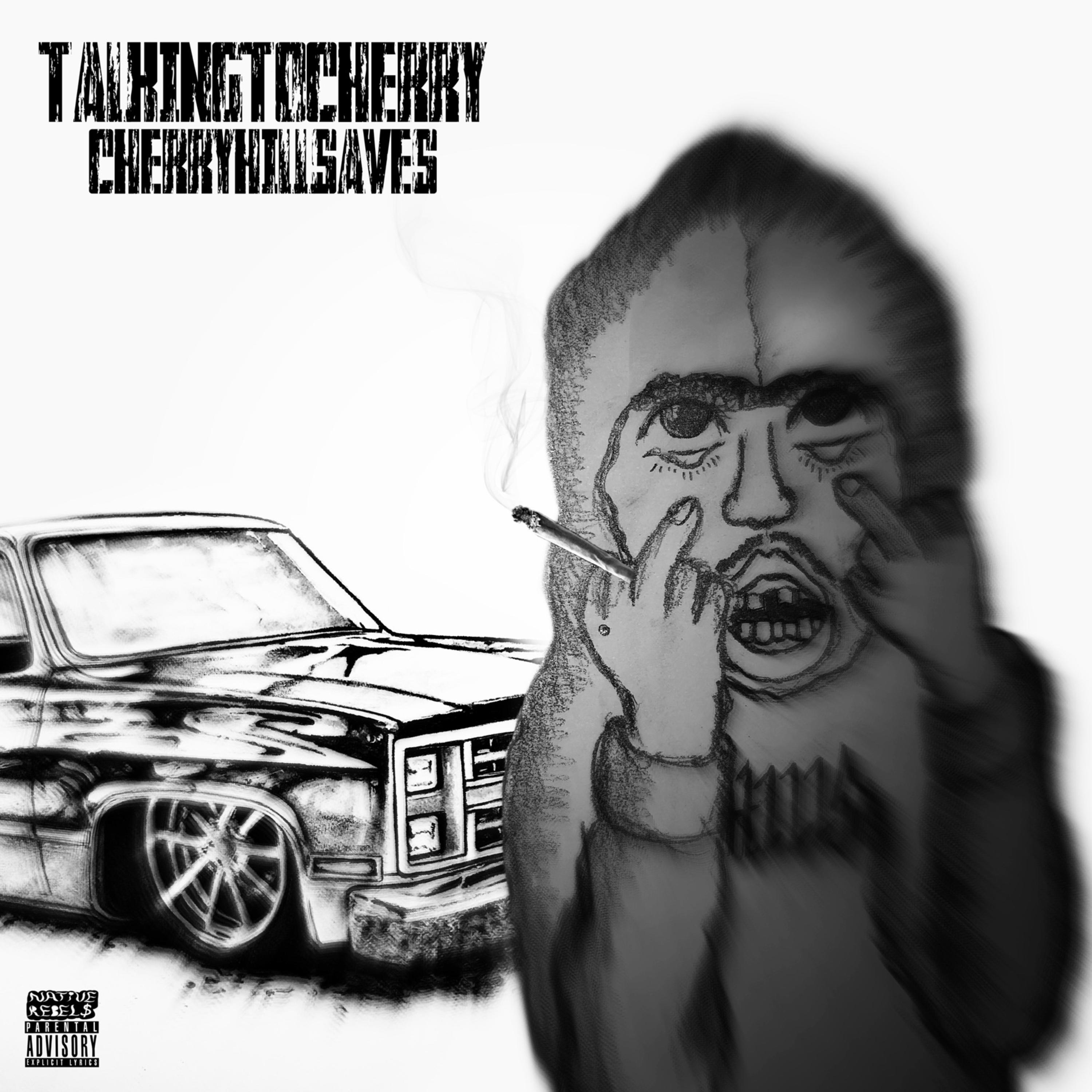 TalkingToCherryNotTalkingTo... artwork