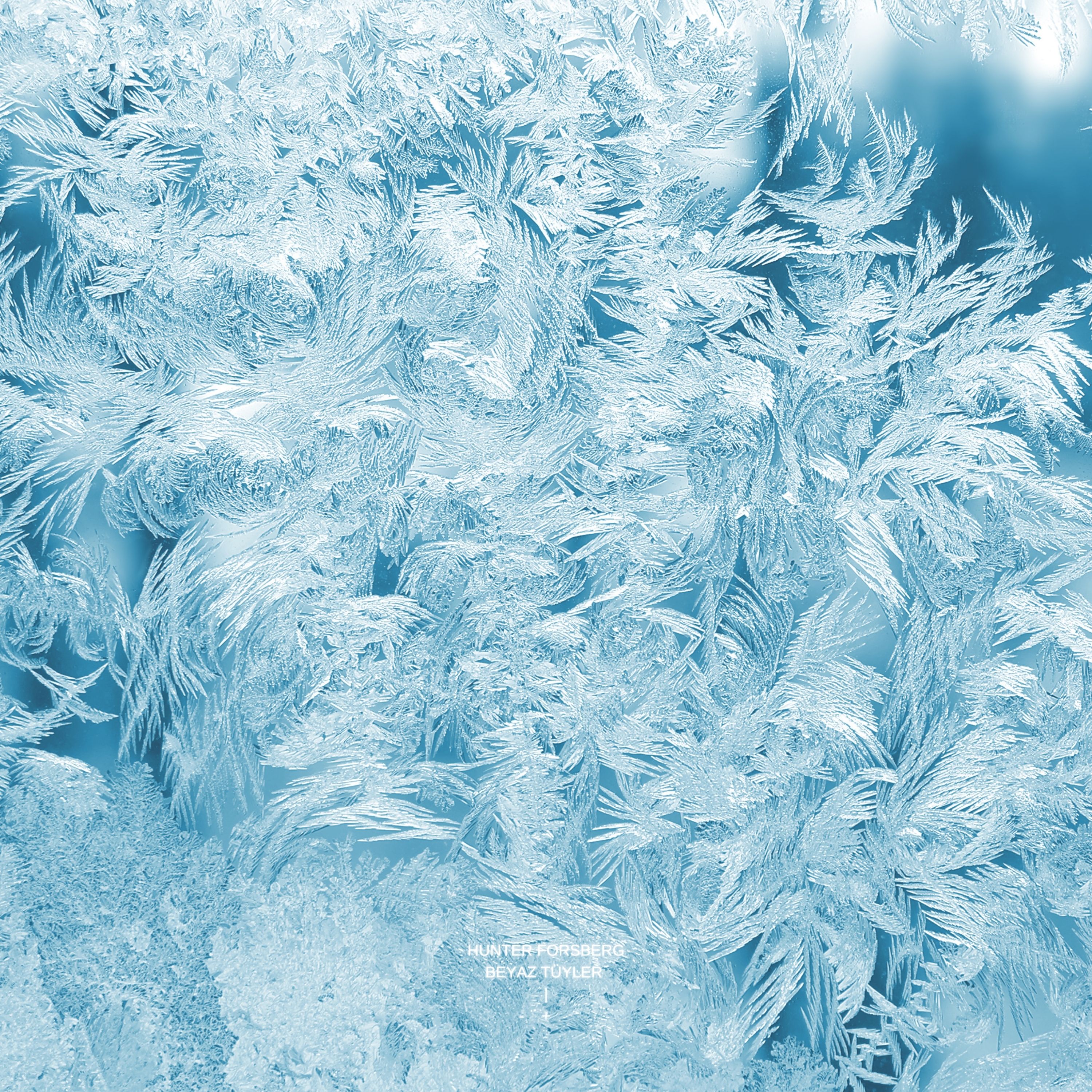 Beyaz tüyler artwork