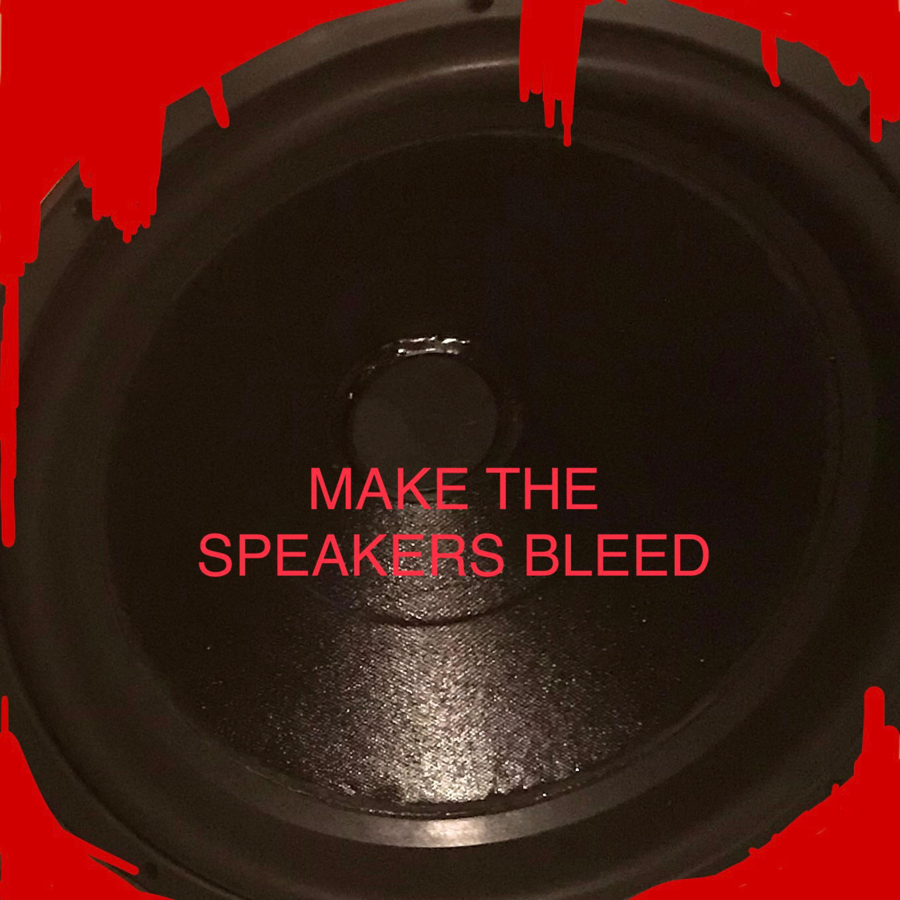 MAKE THE SPEAKERS BLEED artwork