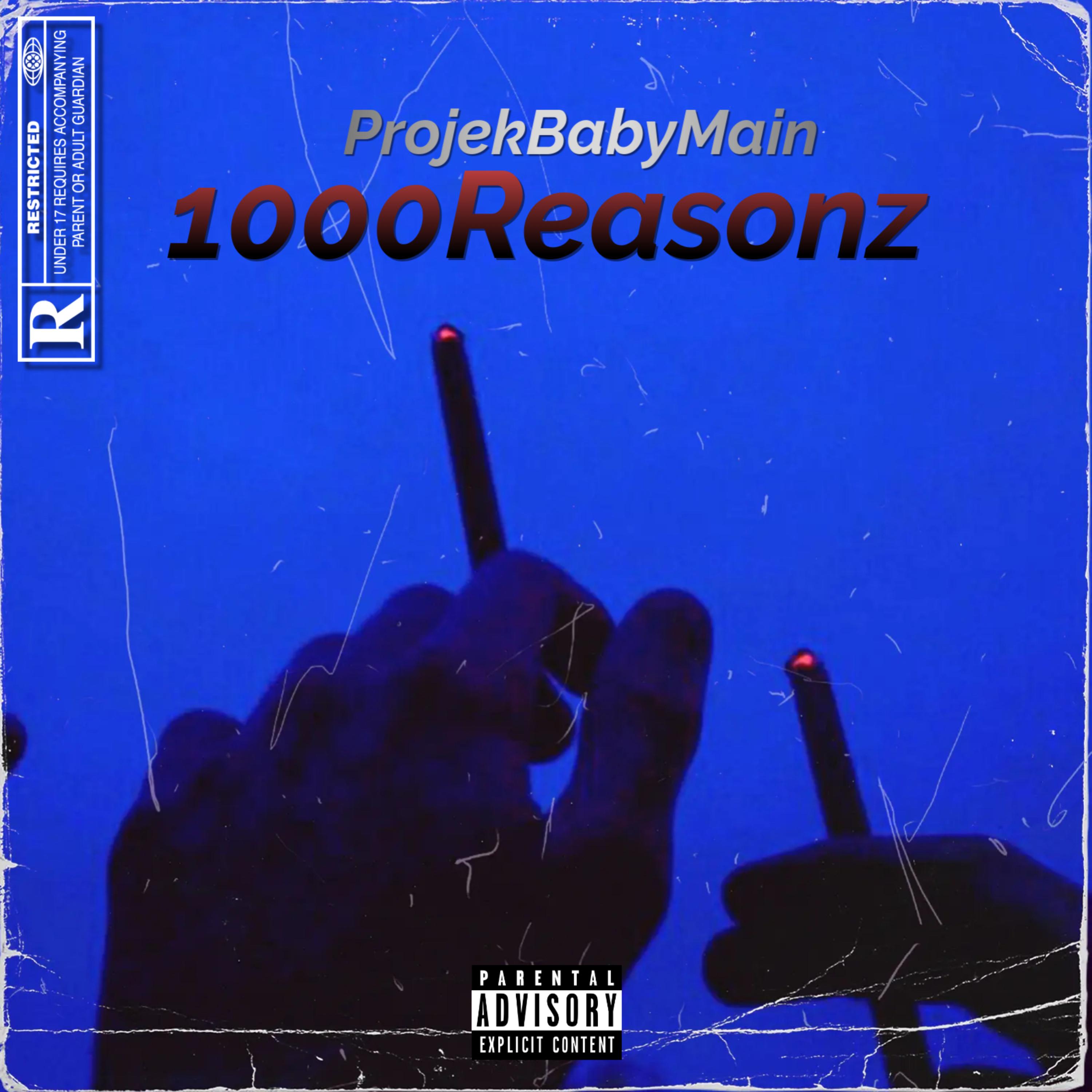 1000Reasonz artwork