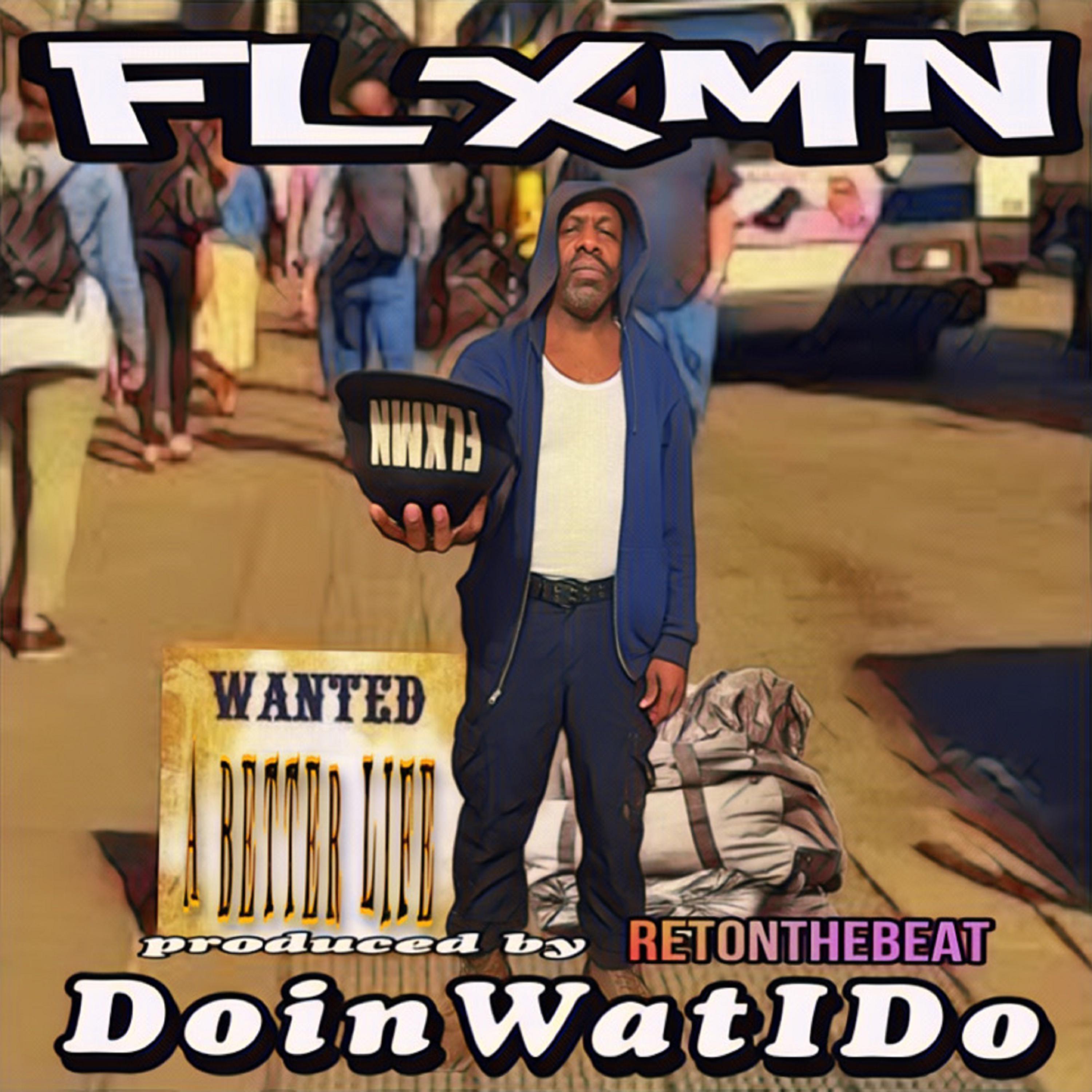 DoinWatIDo artwork