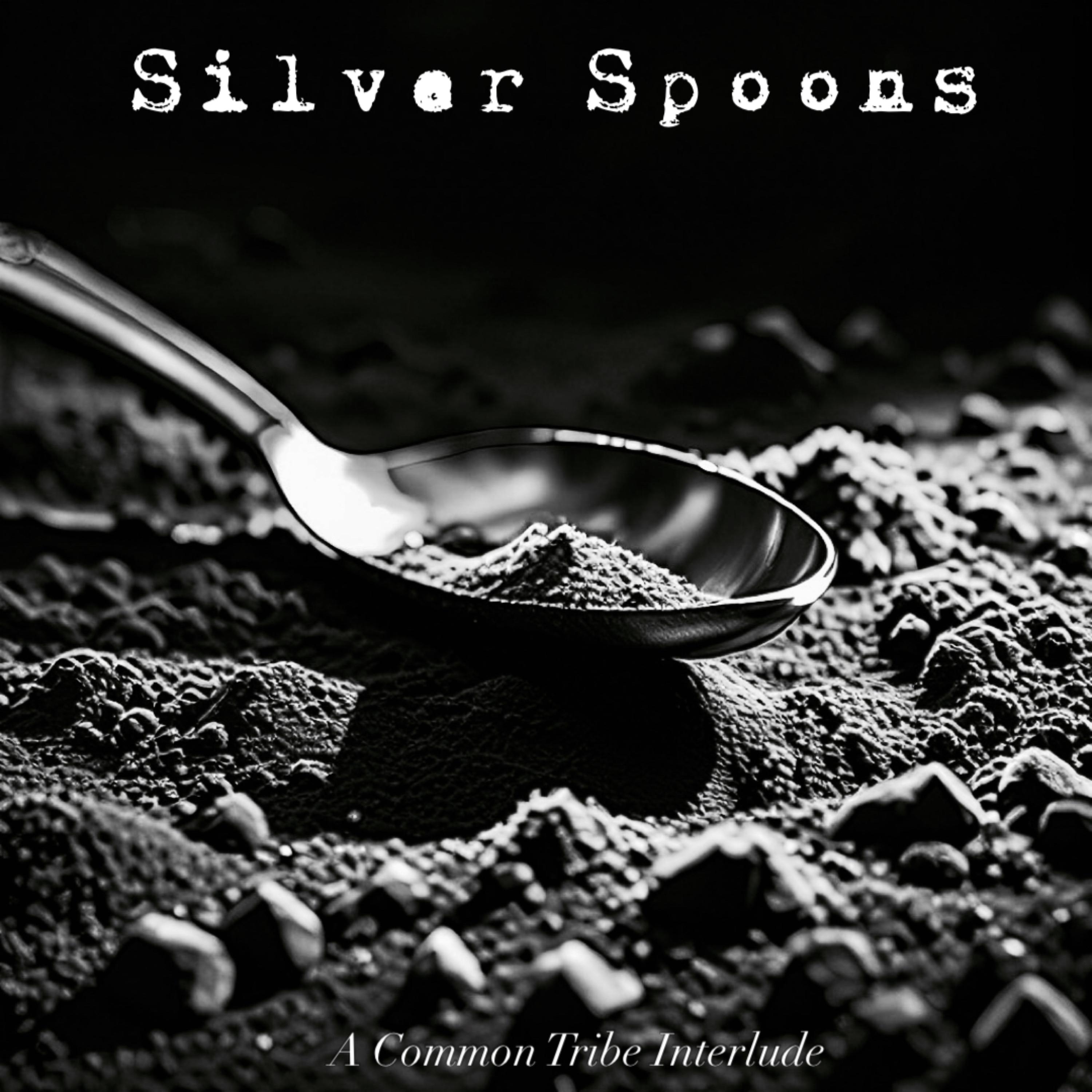 Silver Spoons (interlude) artwork