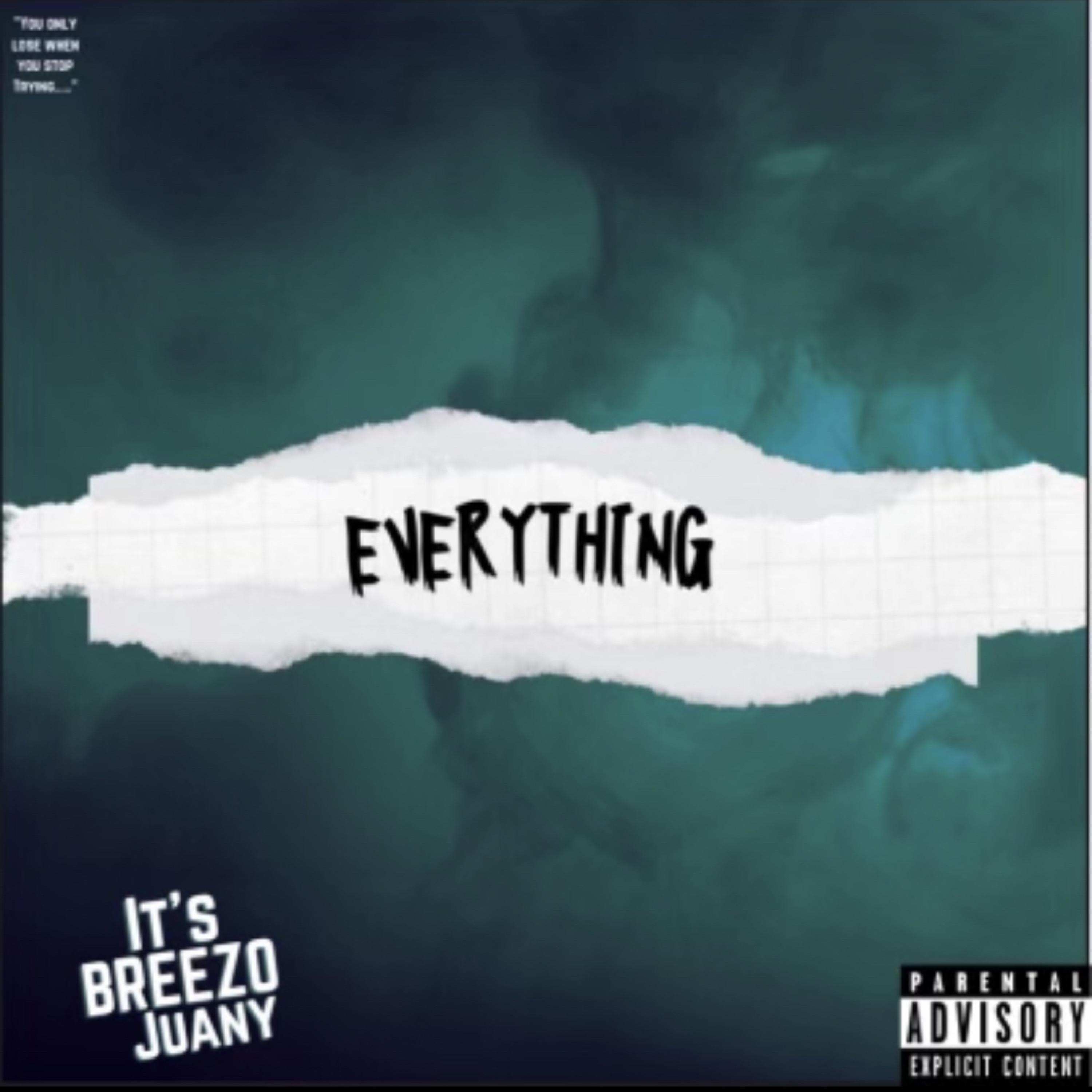 Everything artwork
