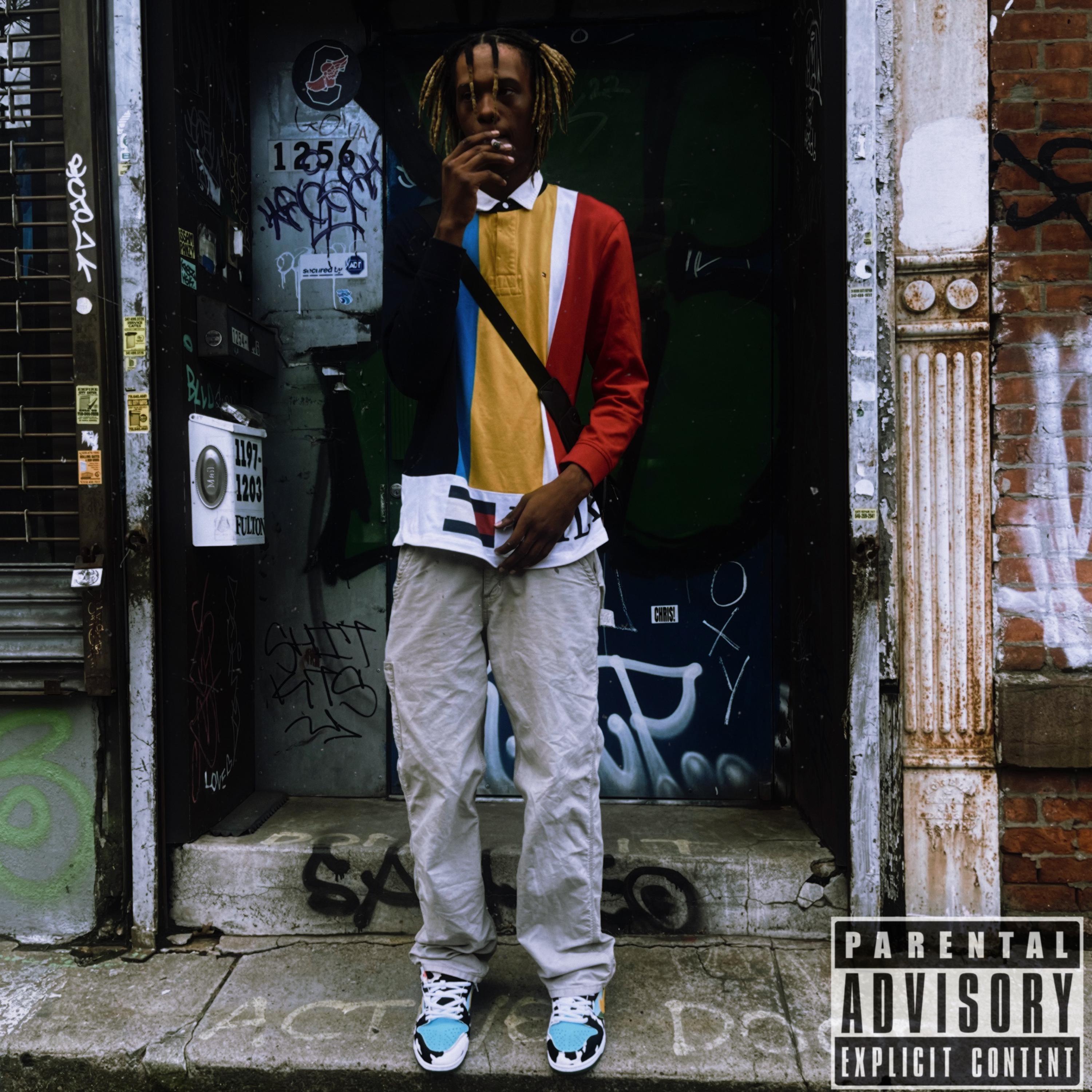 Bullshit artwork