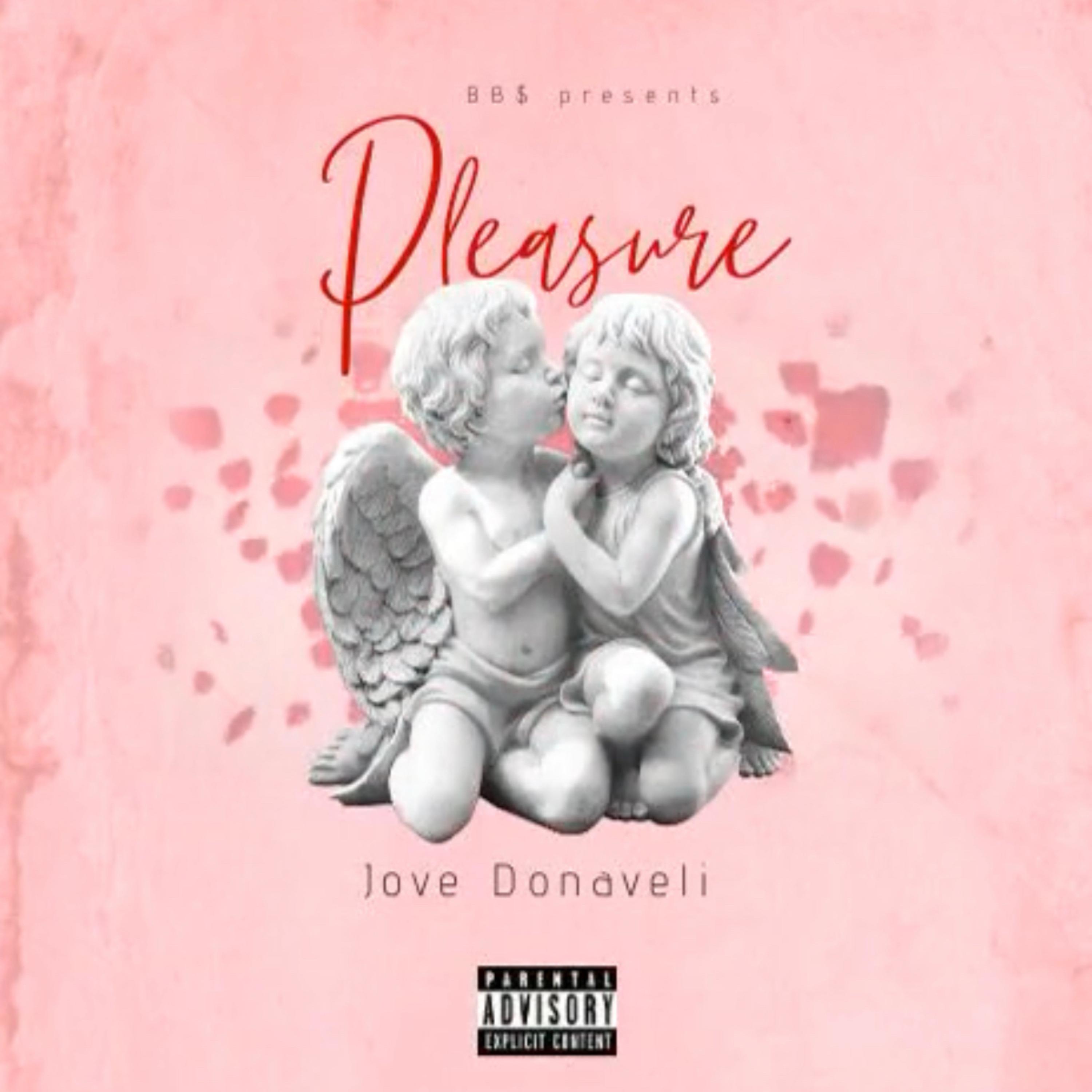 Pleasure artwork