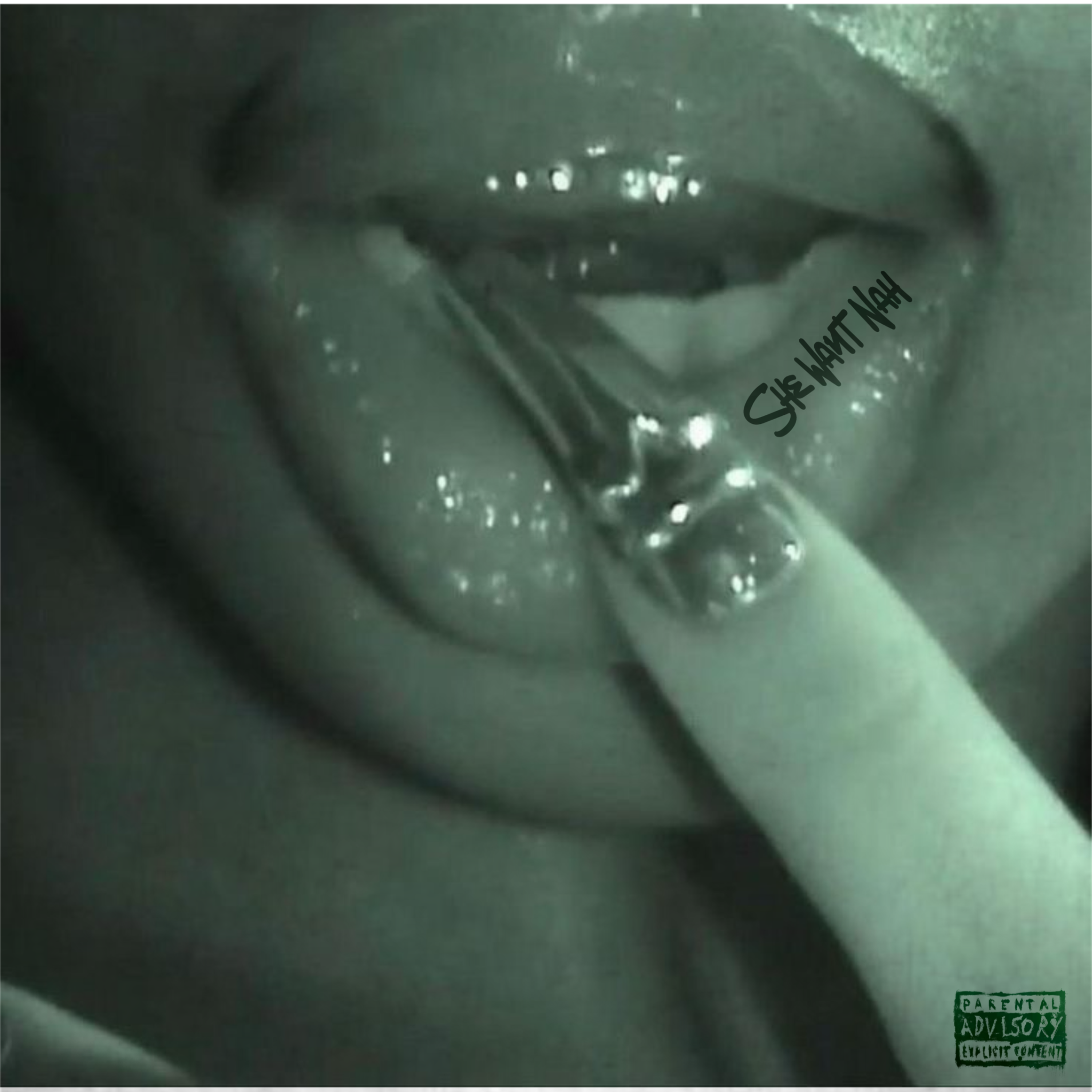 She Want Nah artwork