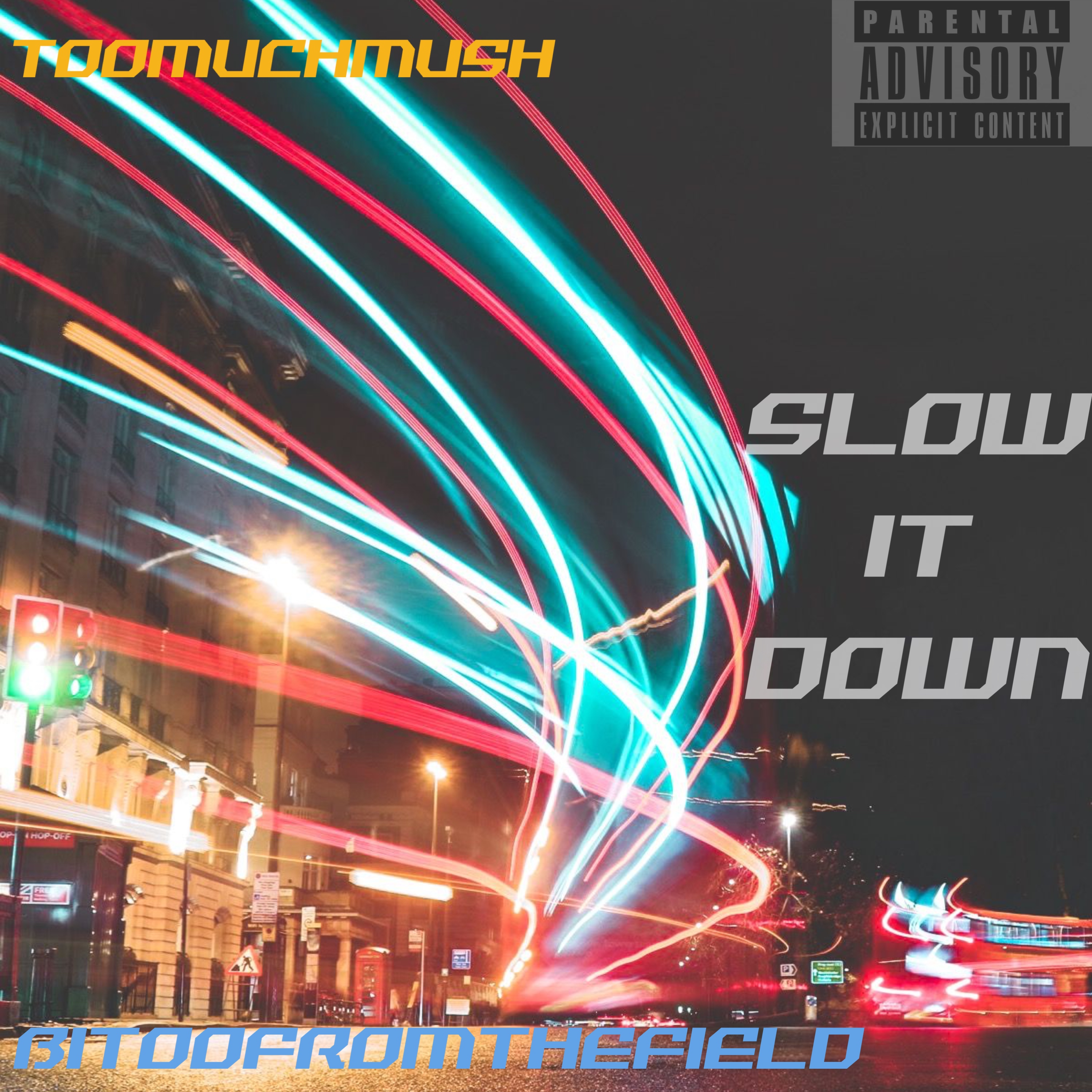 Slow It Down by TOOMUCHMUSH cover art