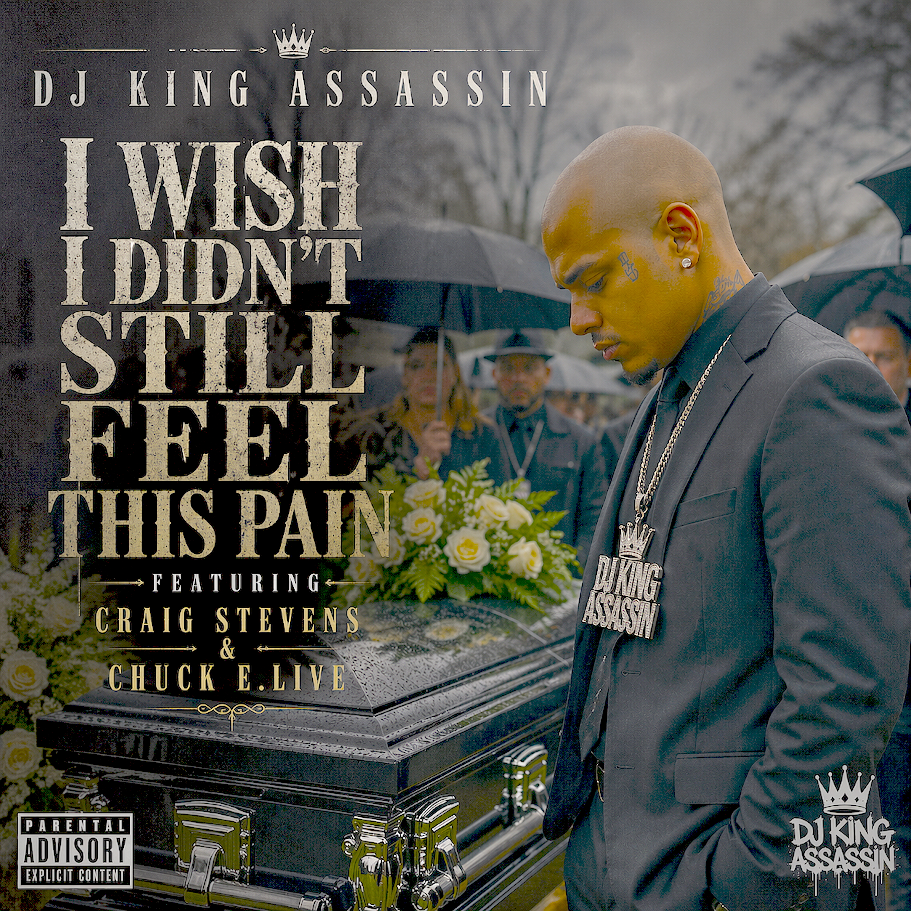 I Wish I Still Didn't Feel This Pain artwork
