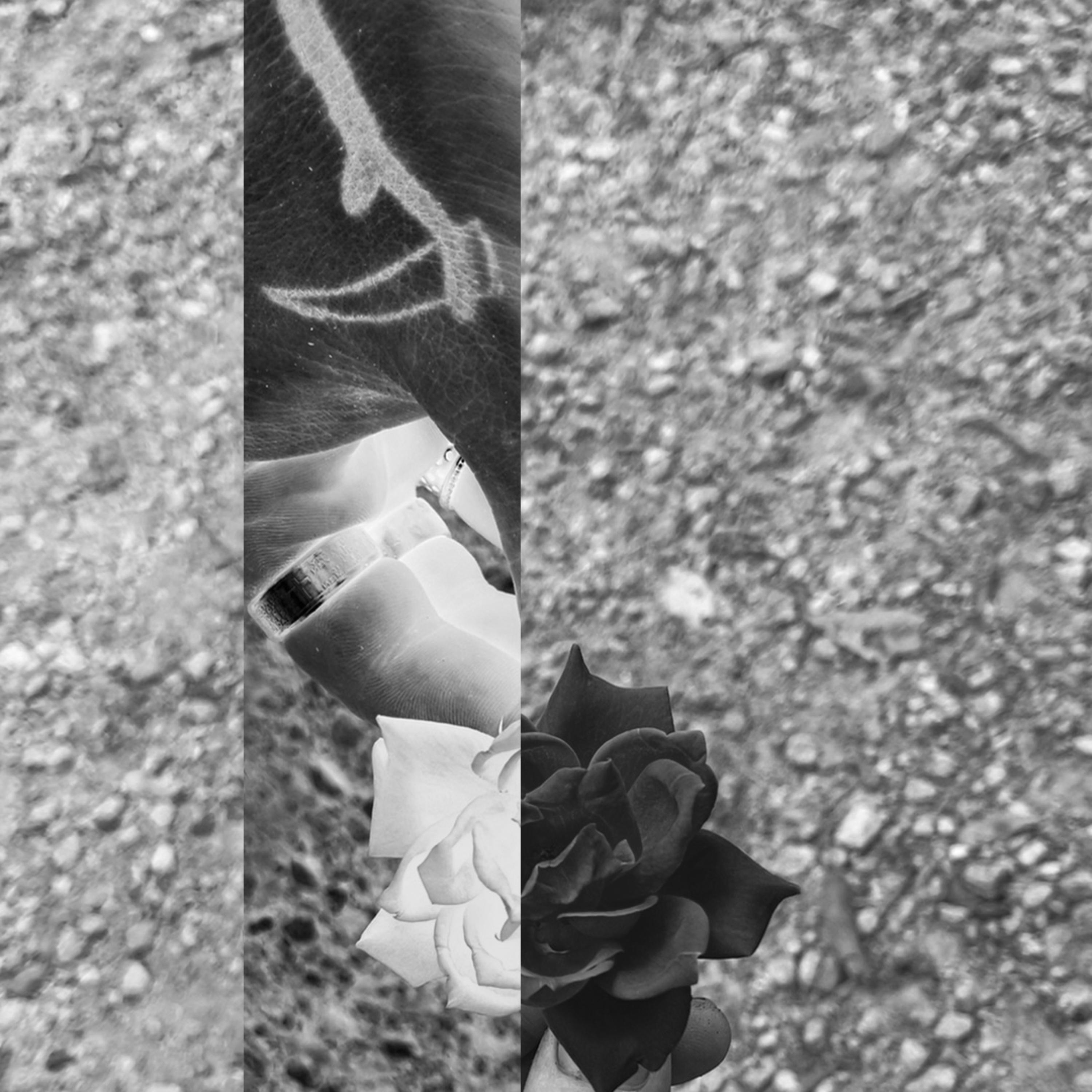 La Appel Du Vide artwork