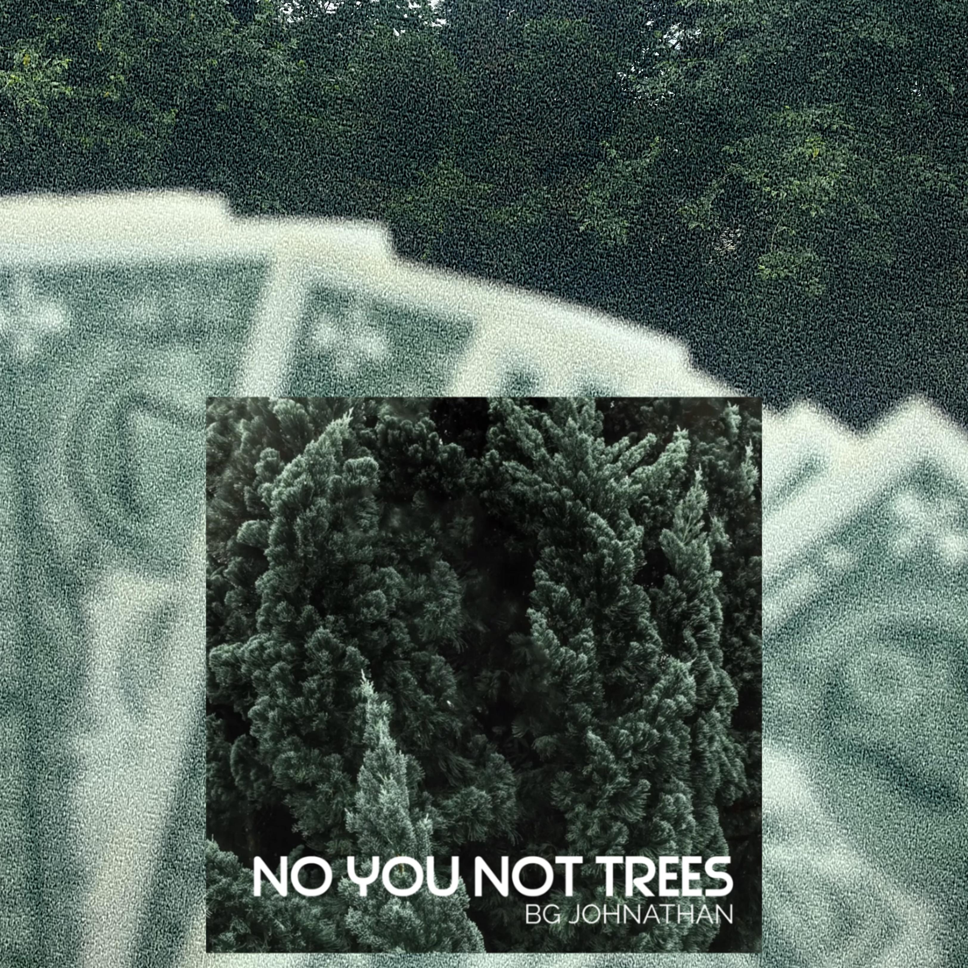 No You Not Trees artwork