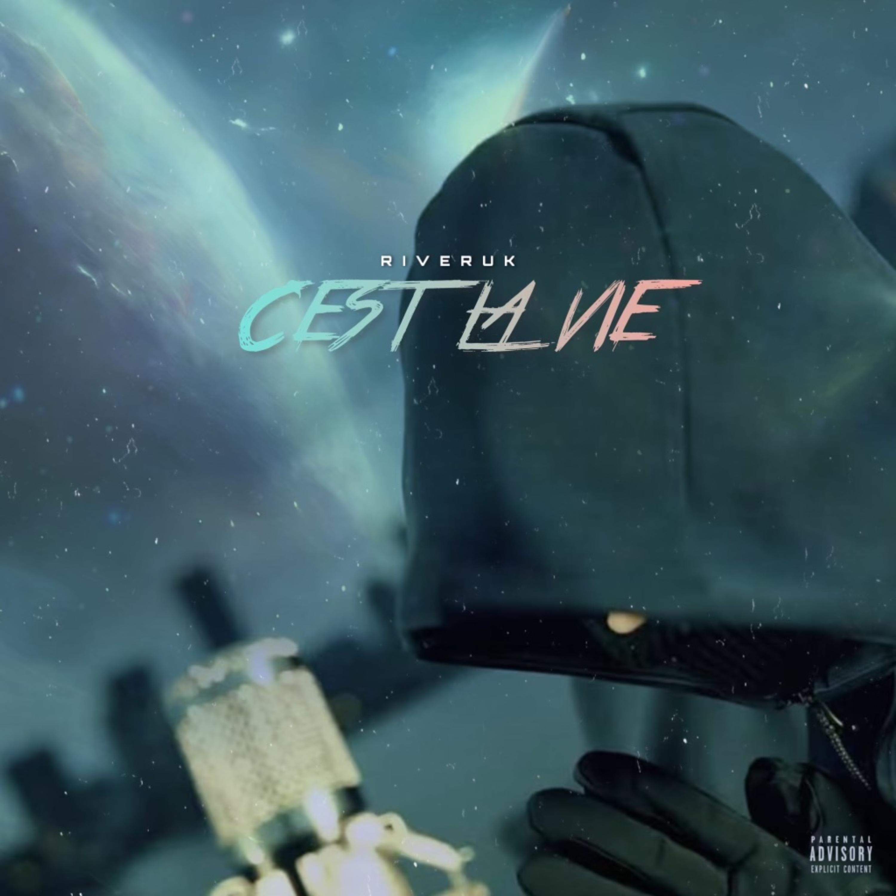 C'est La Vie artwork