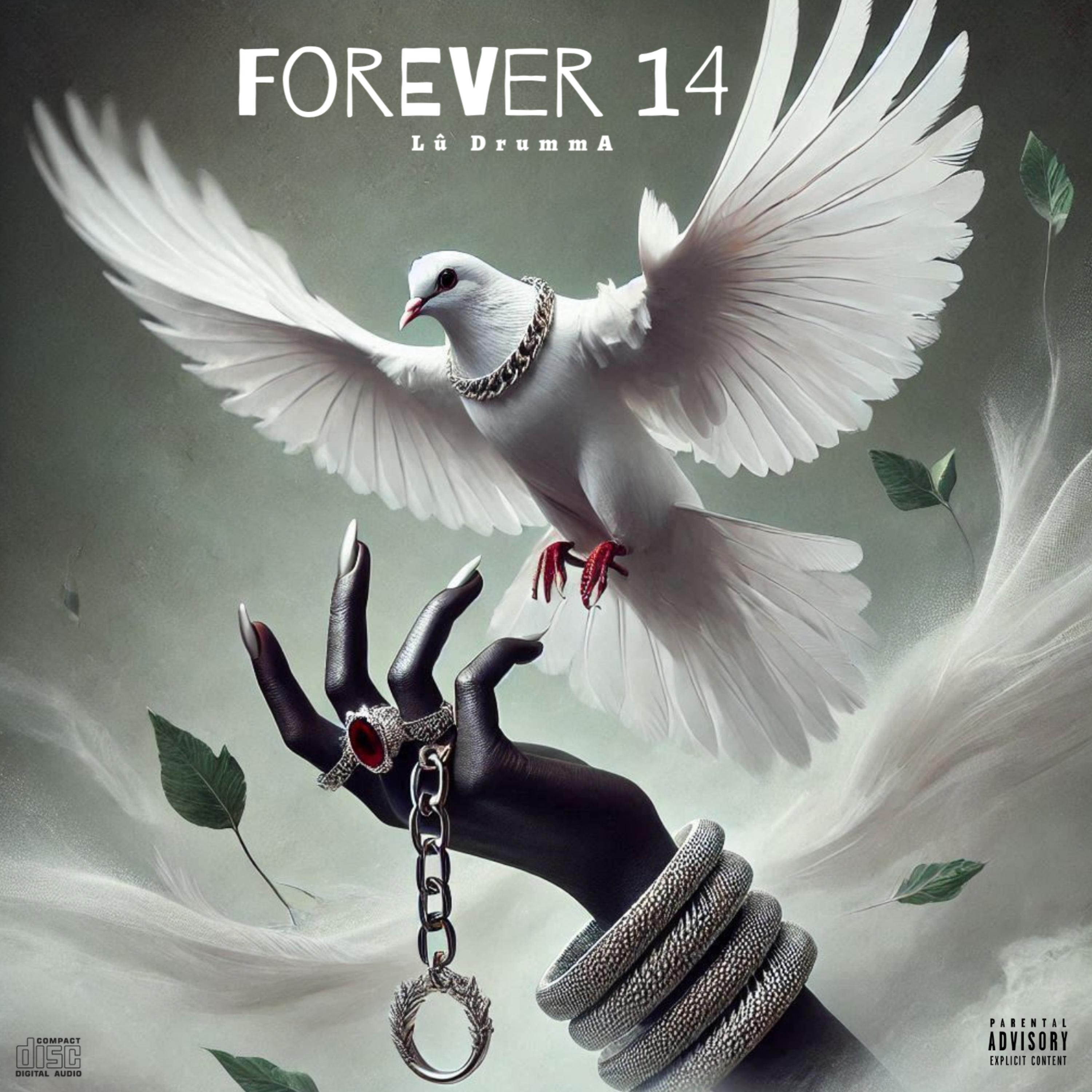 Forever 14 artwork