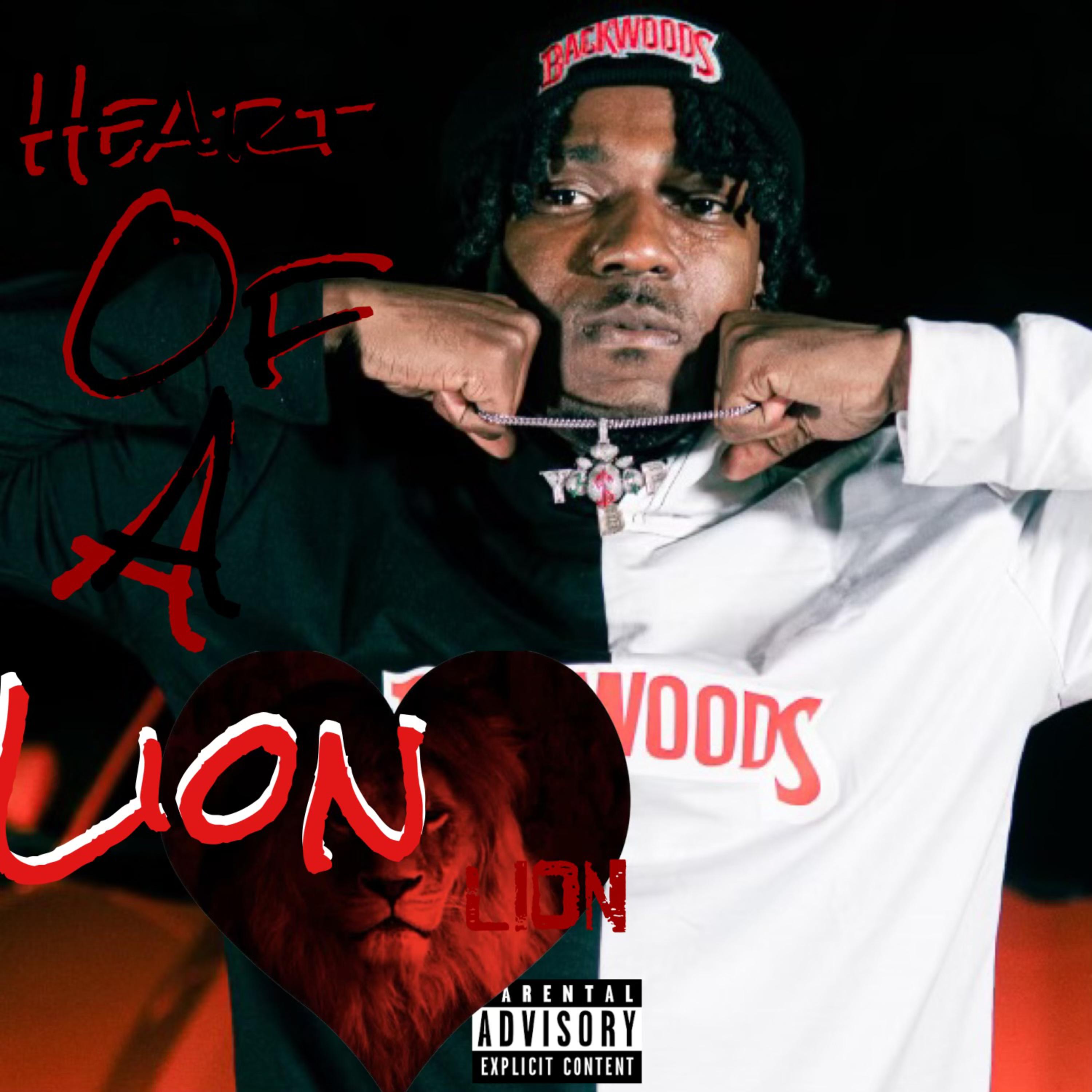 Heart Of A Lion artwork