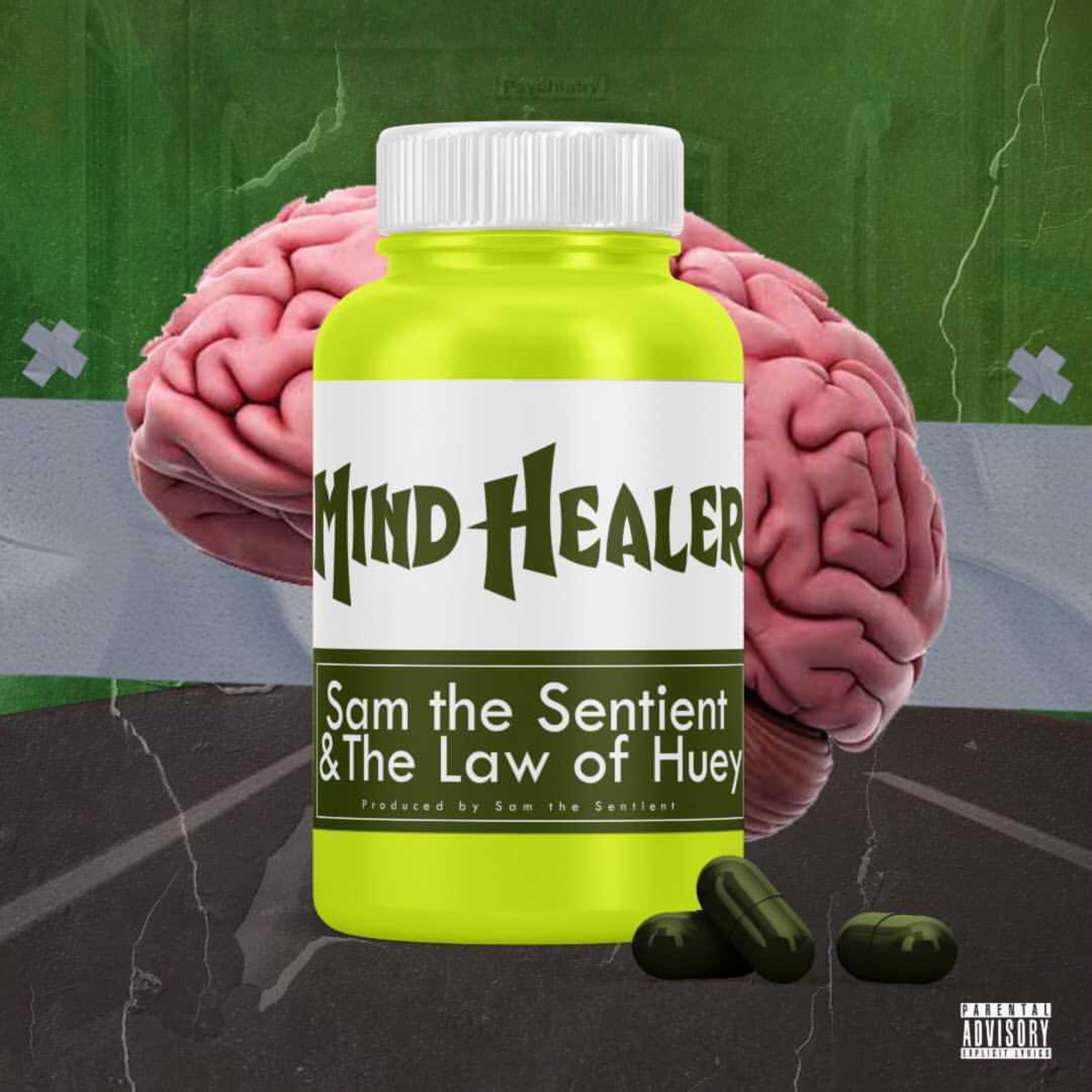 Mind Healer artwork
