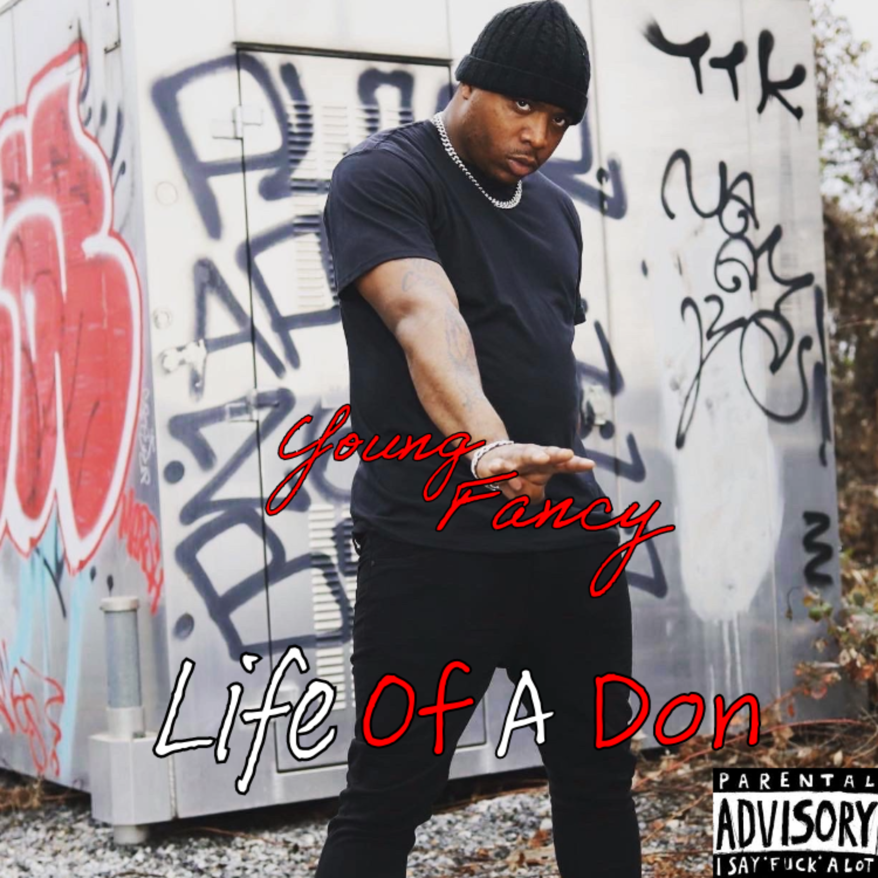 Life Of A Don by Young Fancy cover art