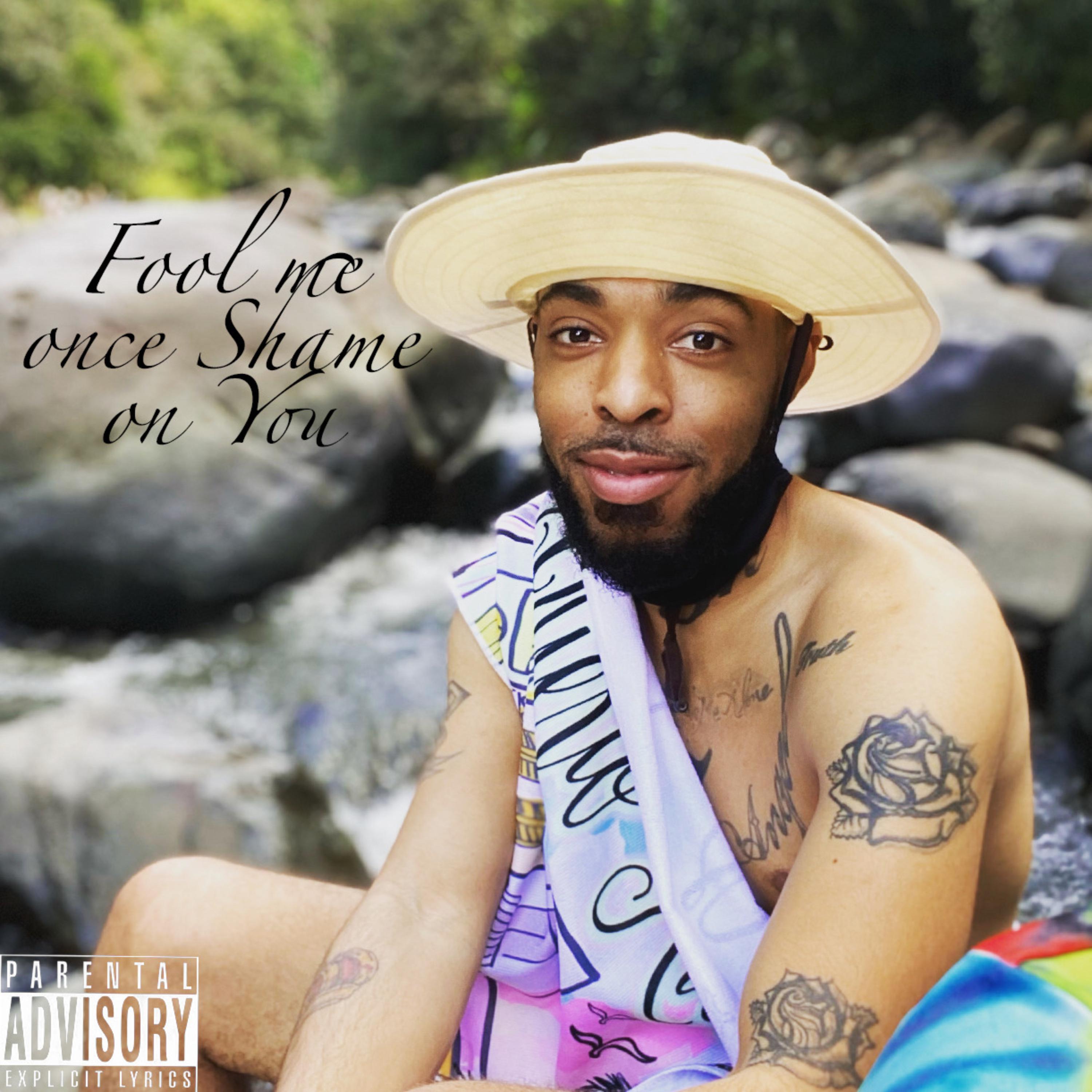 Fool Me Once Shame On You! artwork