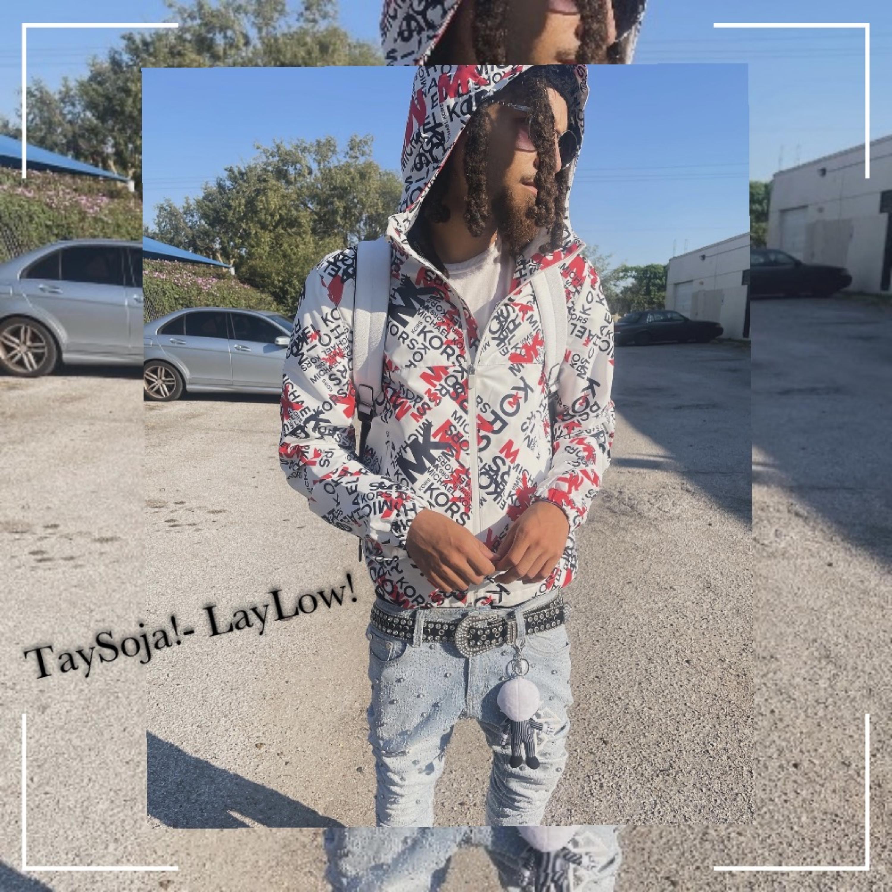 LayLow! artwork