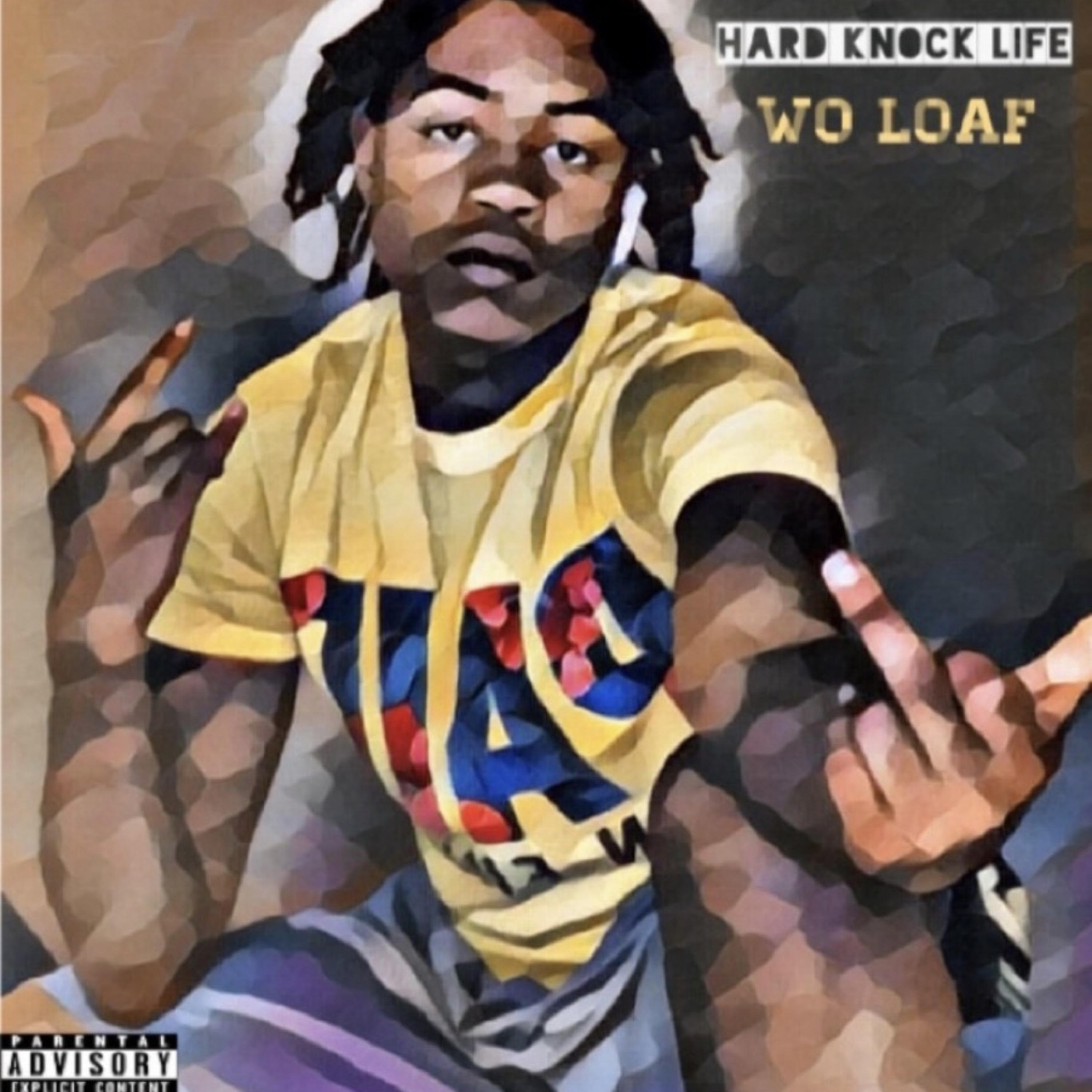 Hard Knock Life artwork