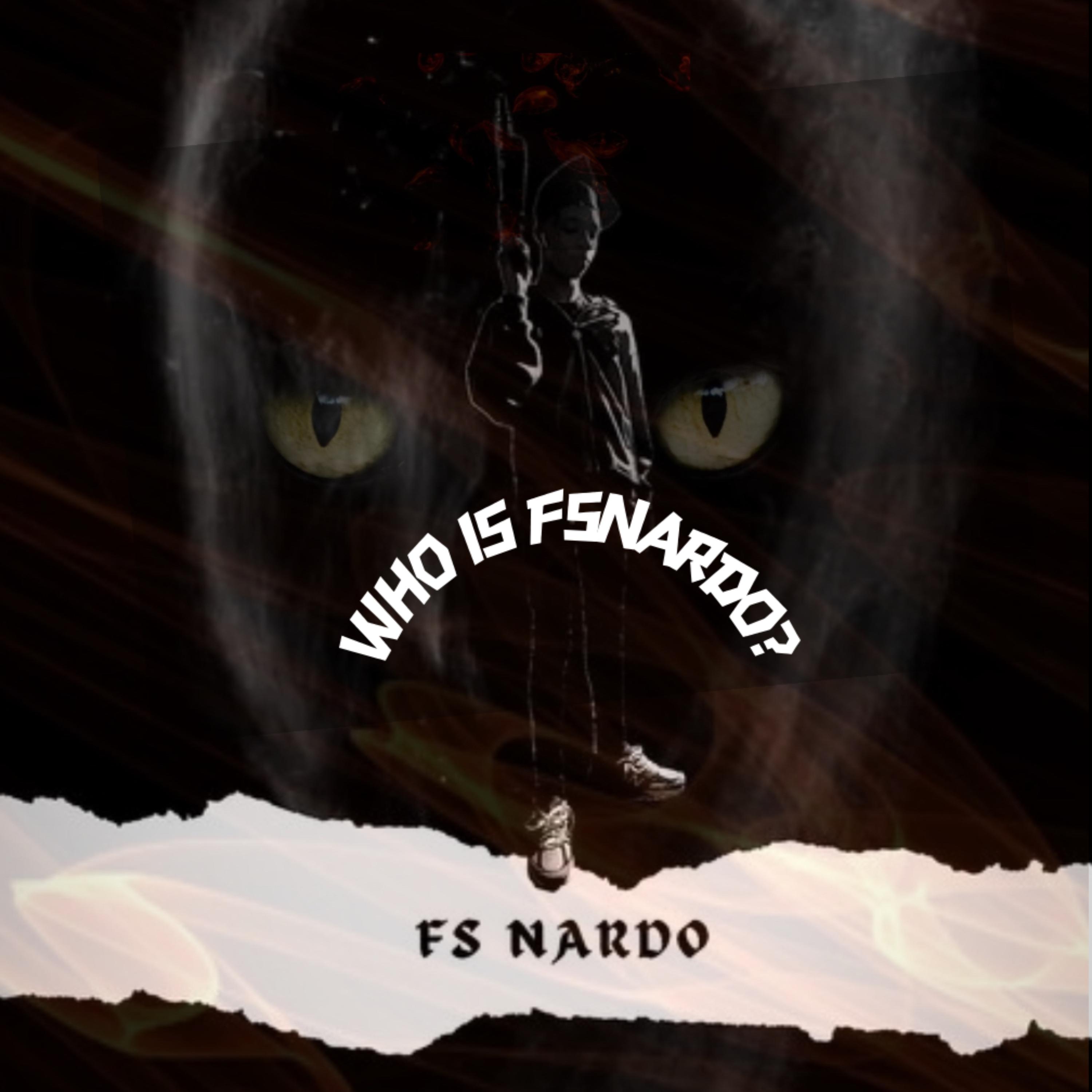 Who is FSNARDO? artwork