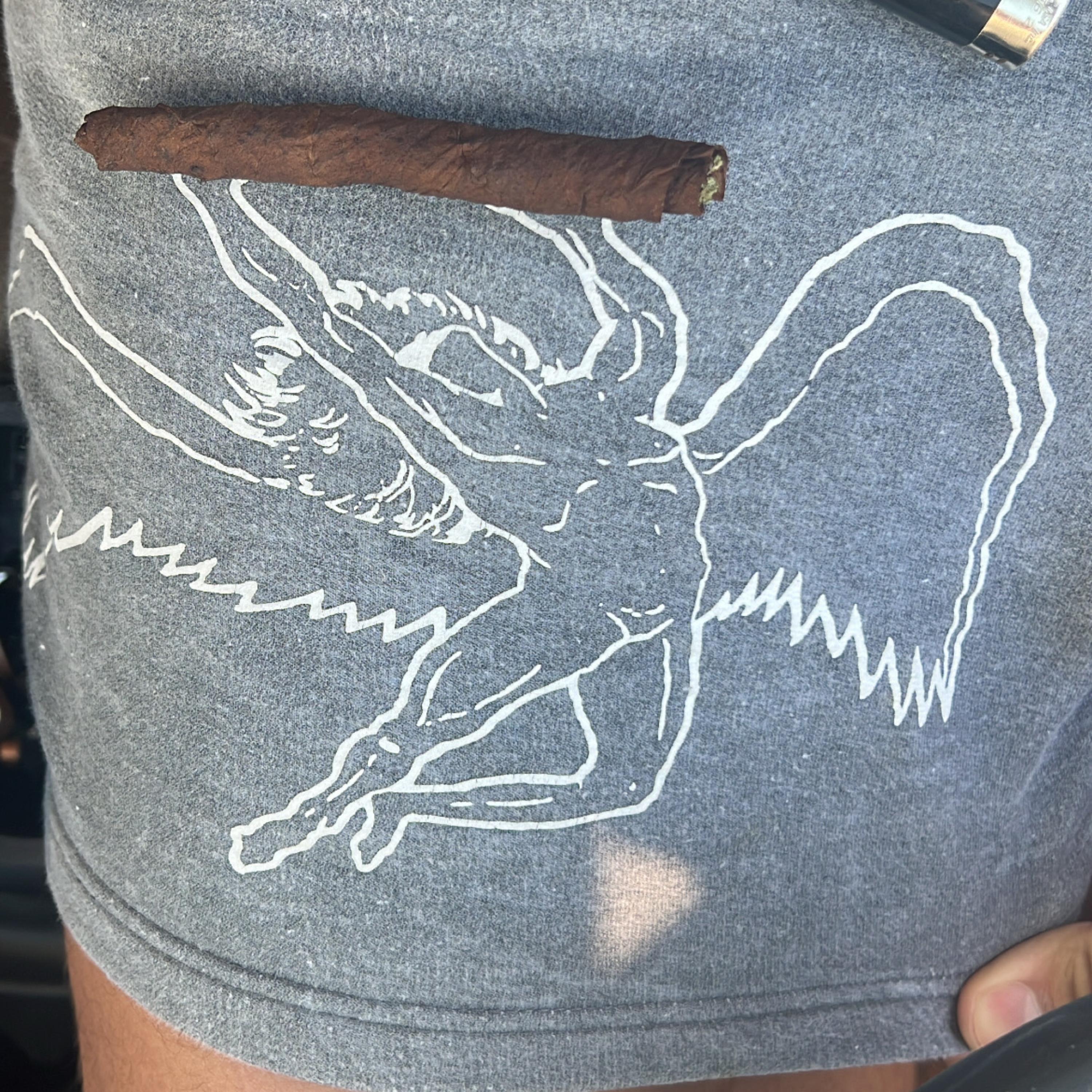Never Knew artwork