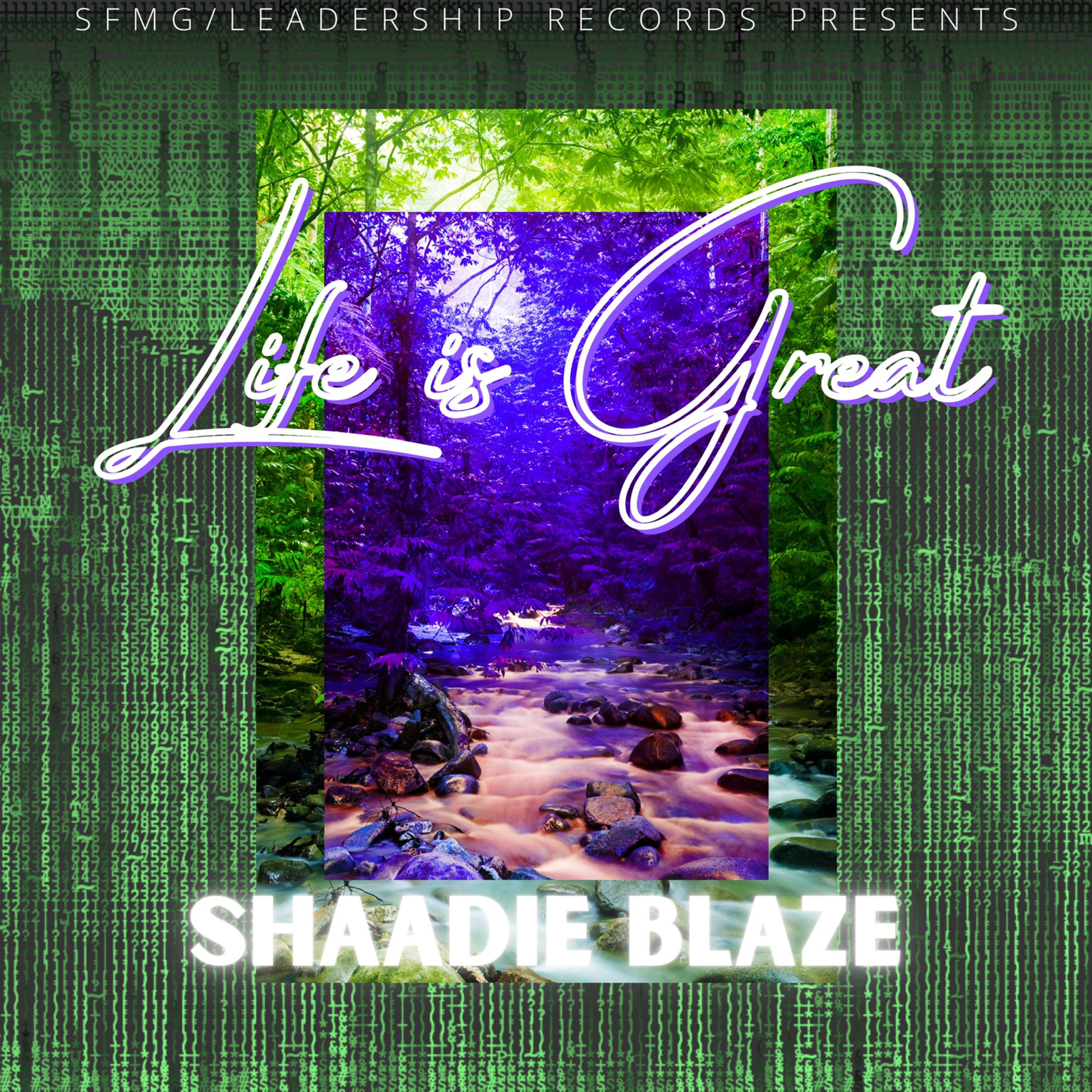 Life is Great artwork
