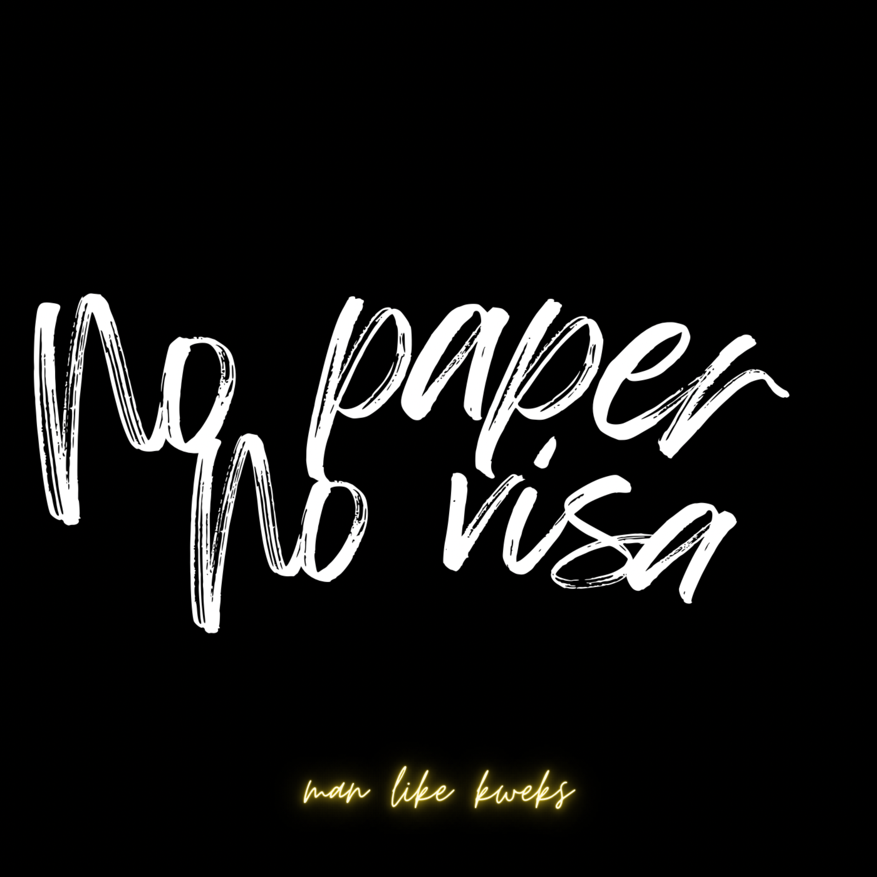 NO PAPER NO VISA artwork
