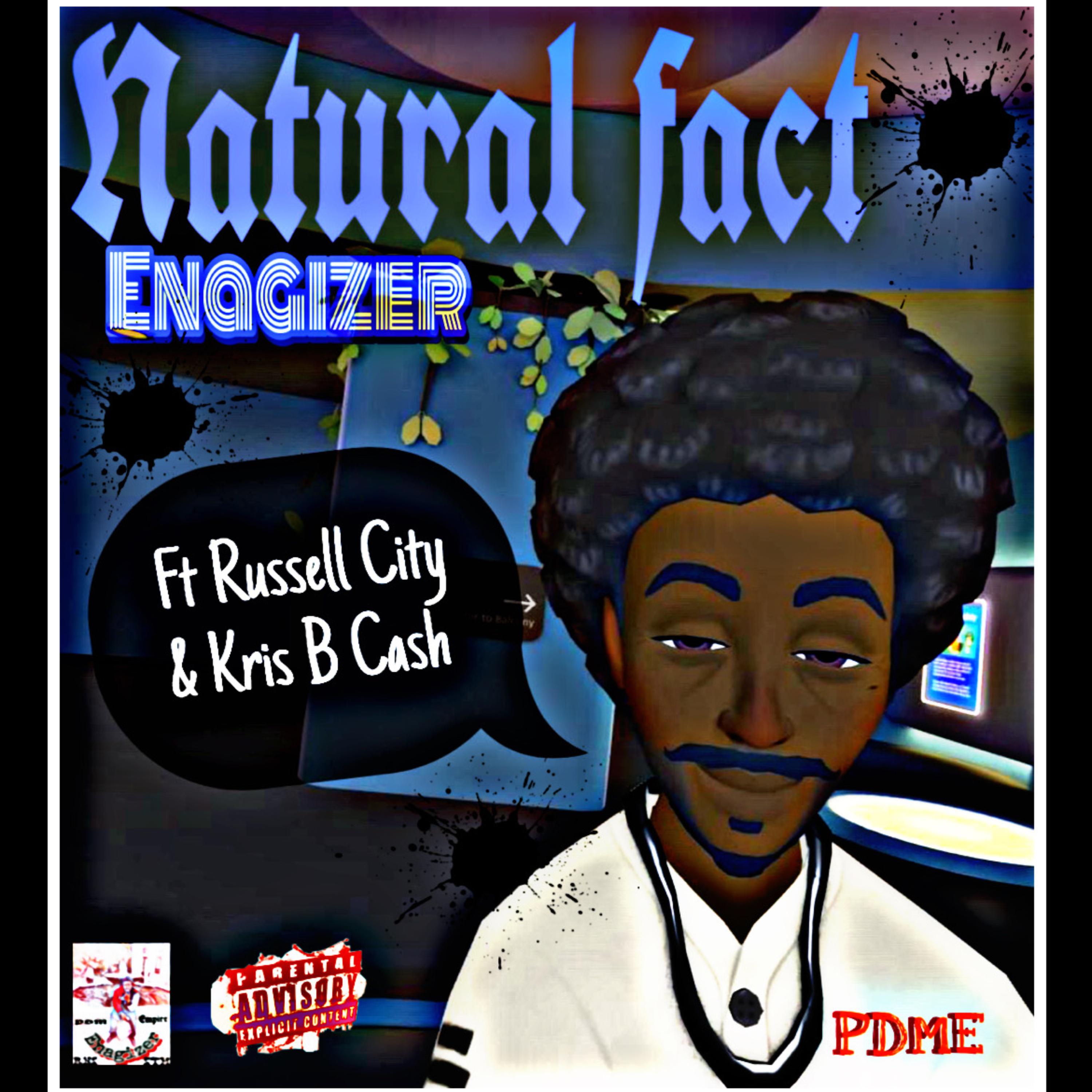 Natural Fact by Enagizer cover art