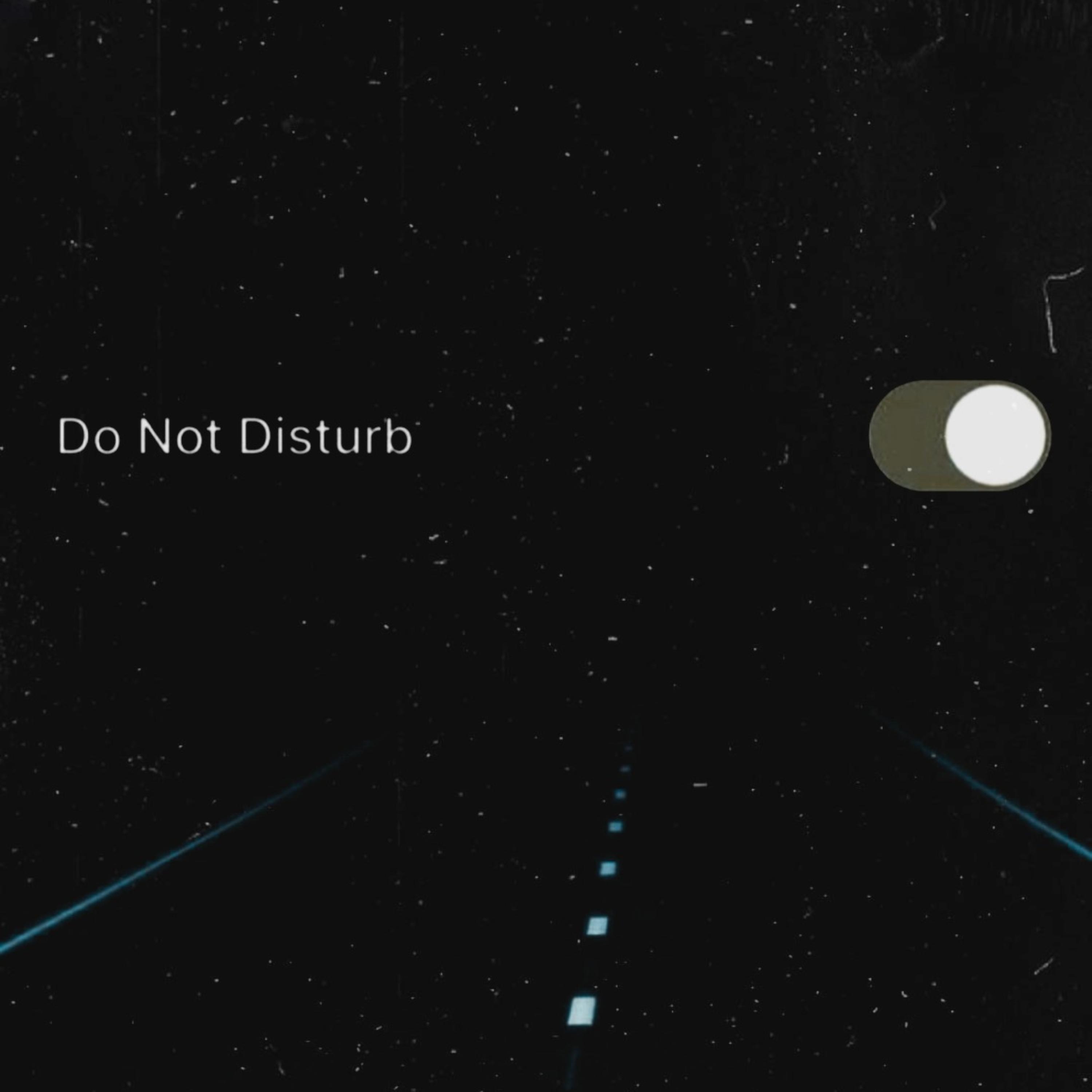 DND ( Do Not Disturb ) artwork