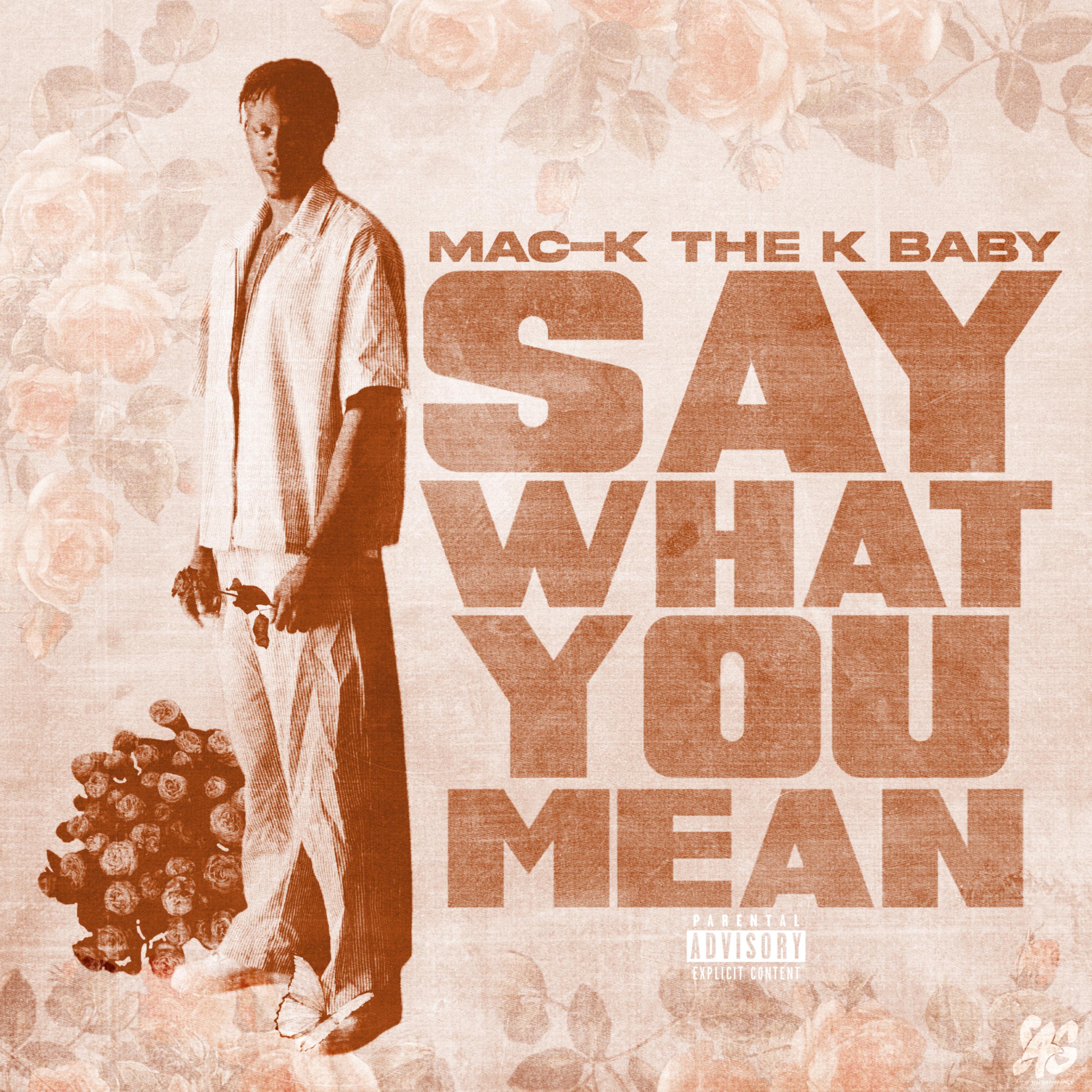 Say what you mean artwork