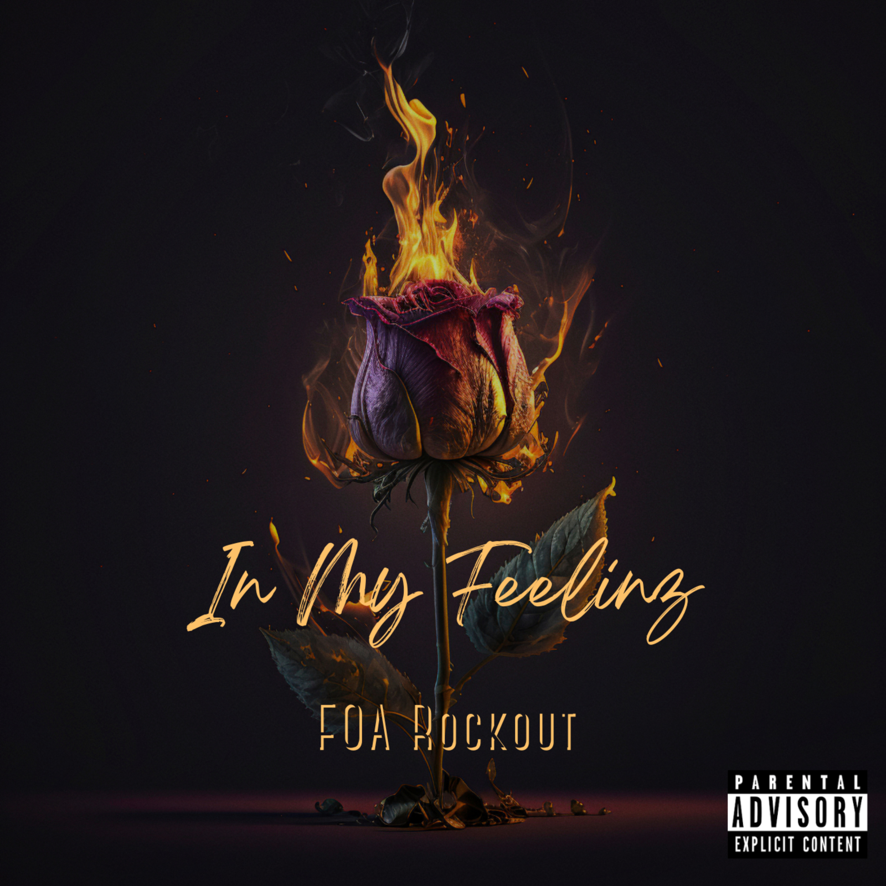 In My Feelinz artwork