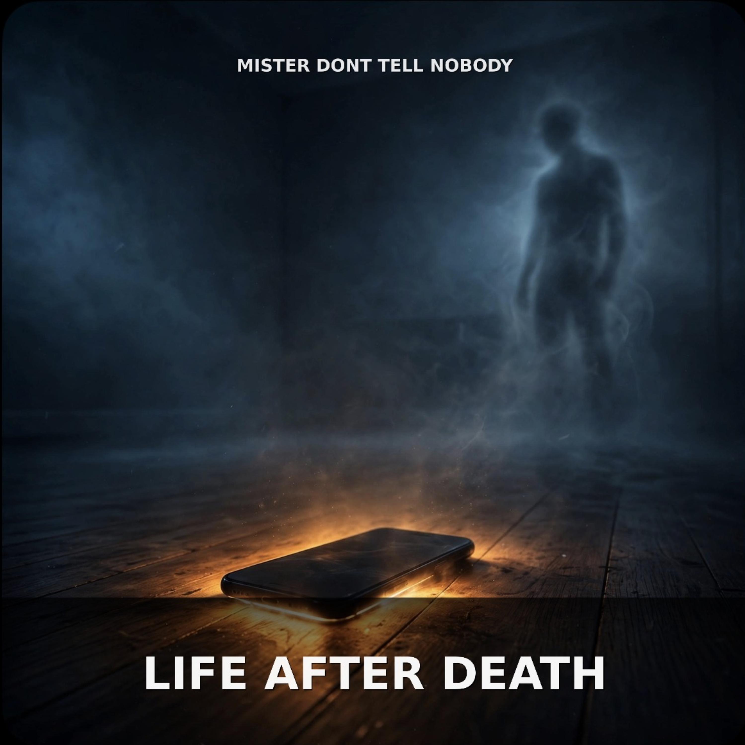 Life After Death by Mister Dont Tell nobody cover art