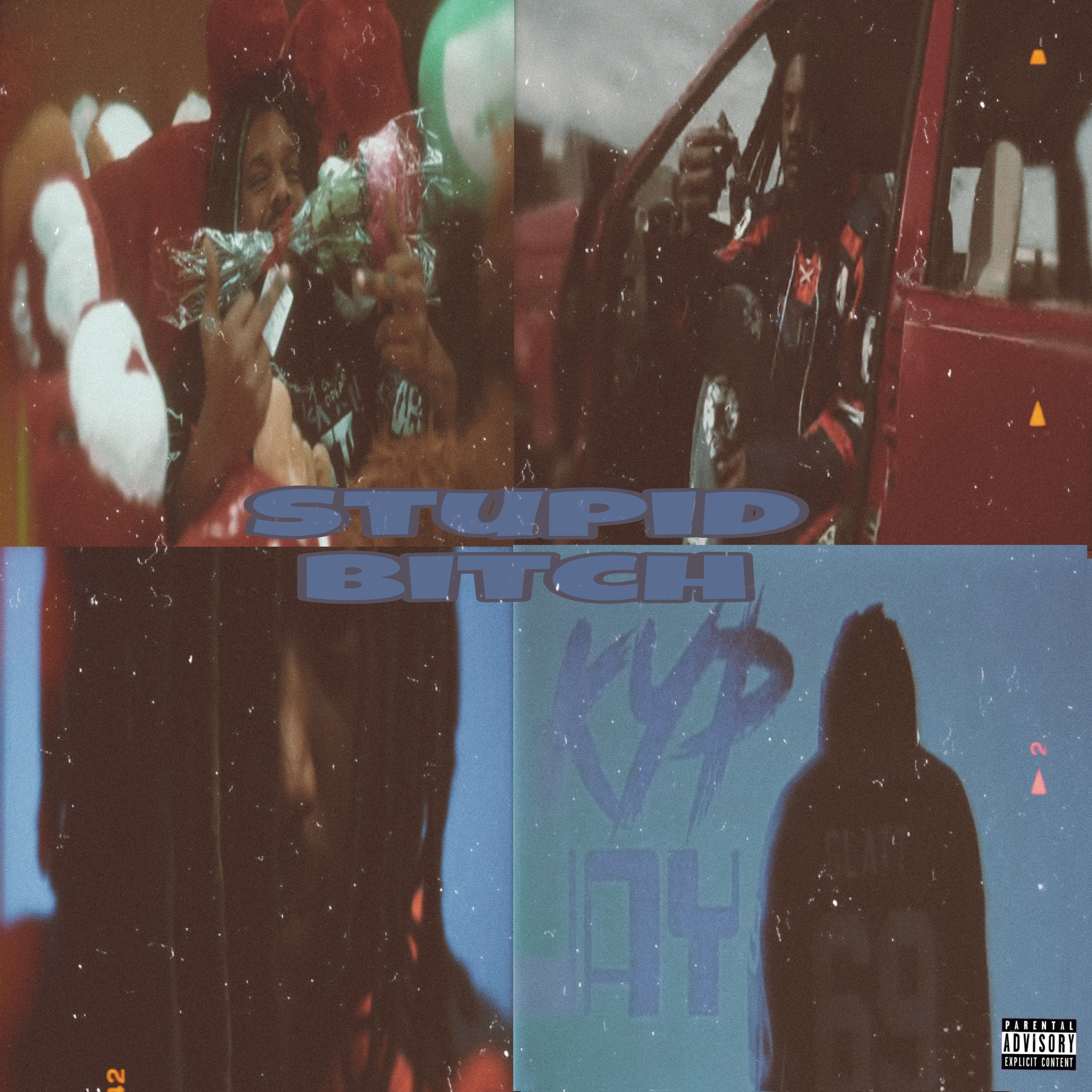 Stupid Bitch artwork