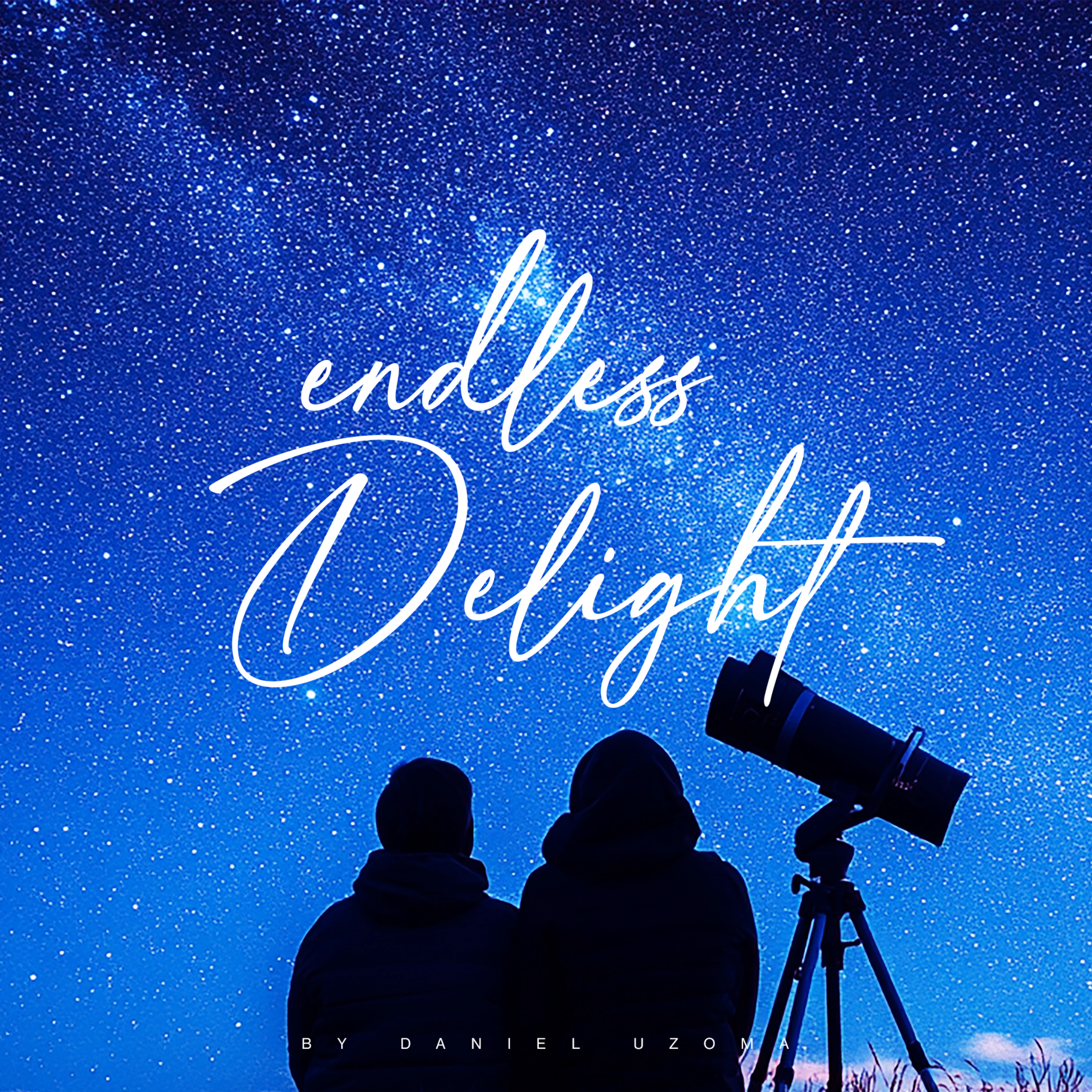 Endless Delight artwork