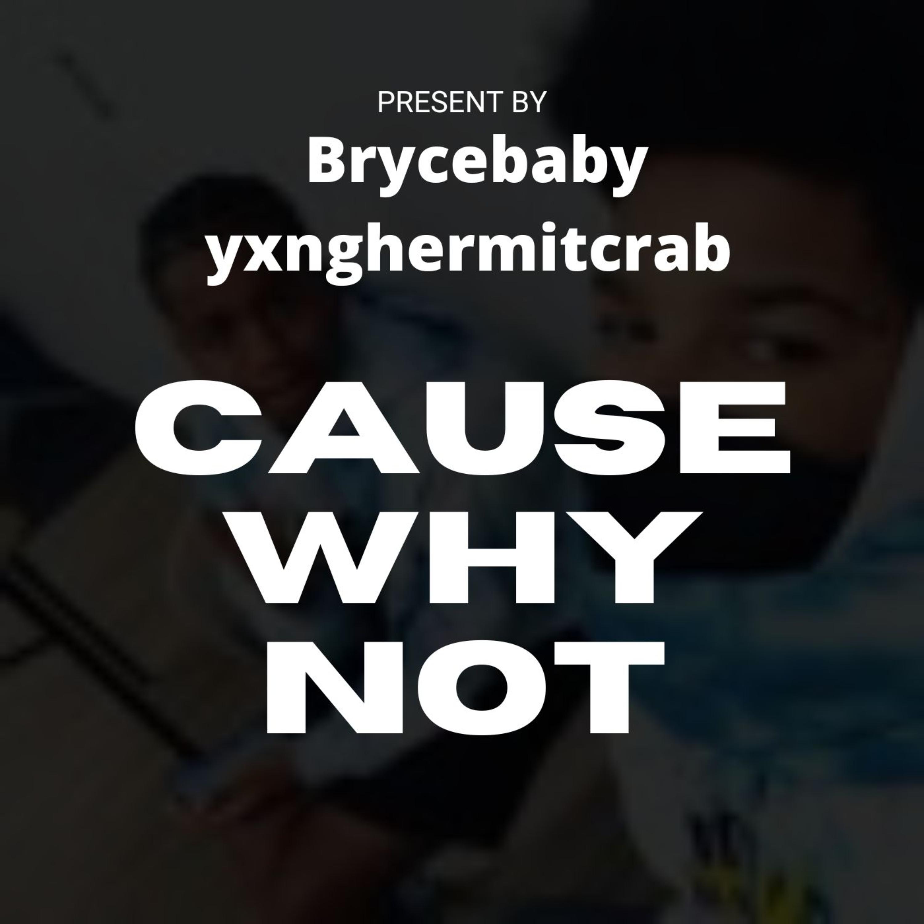 Cause Why Not by Brycebabyy cover art