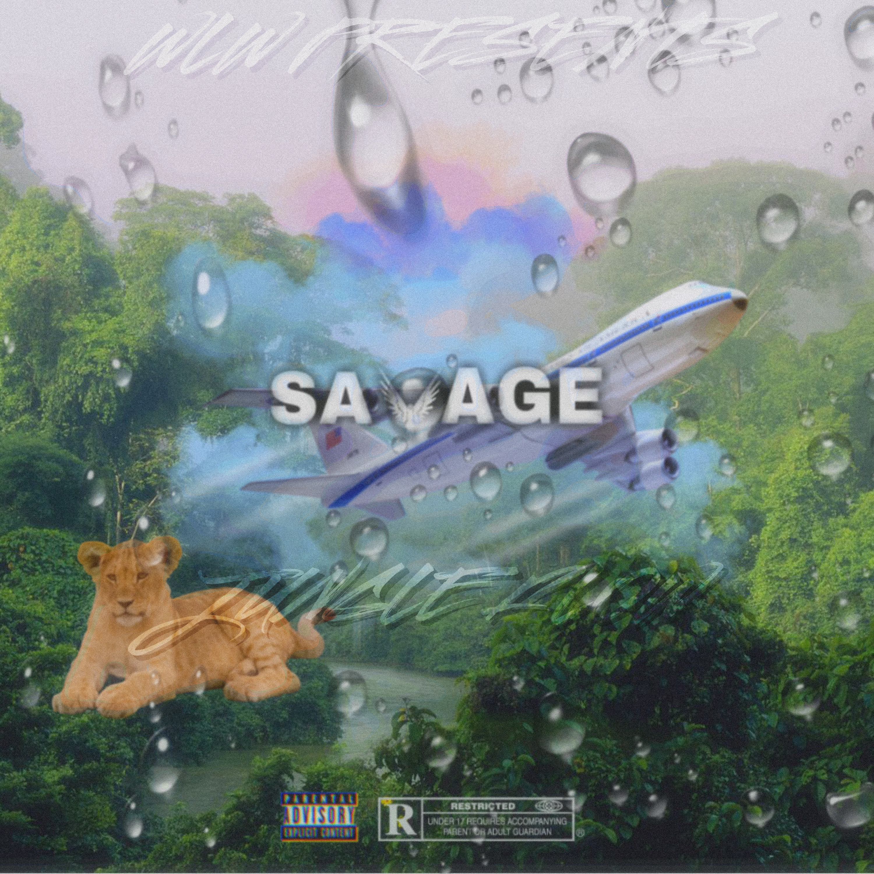 Jungle Flow Pt.1 artwork