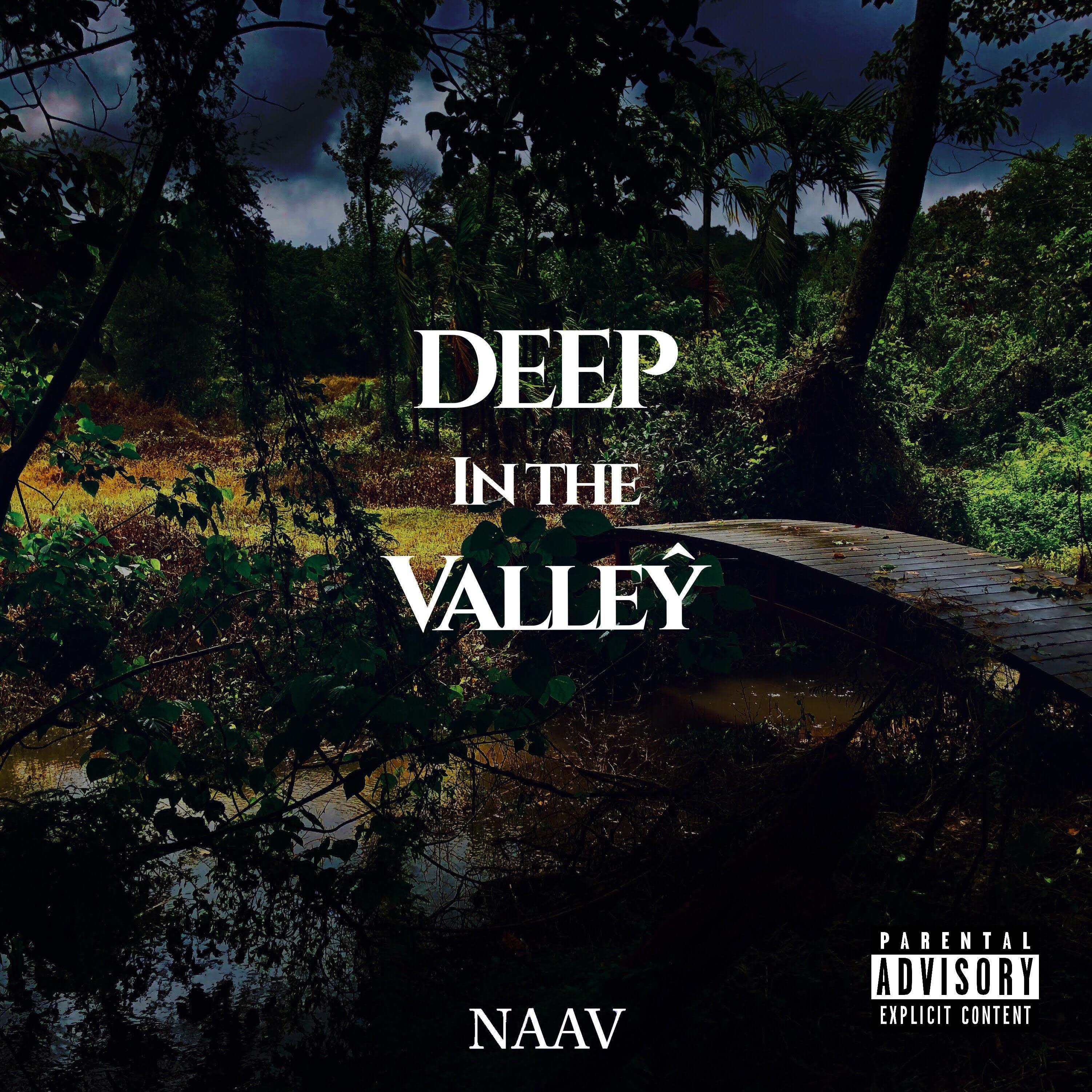 DEEP iN THE VALLEŶ artwork