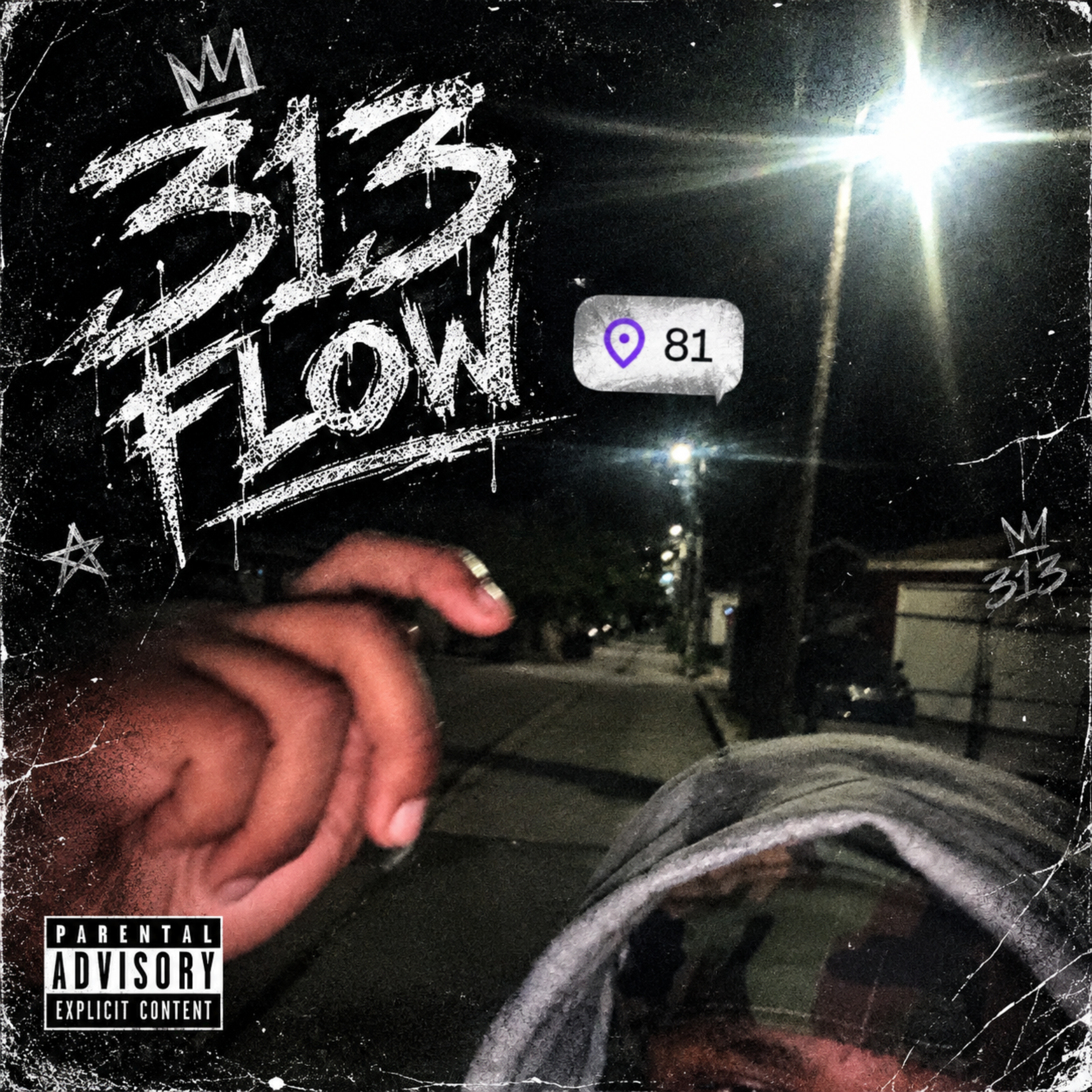 313 Flow by 8lilrell1 cover art