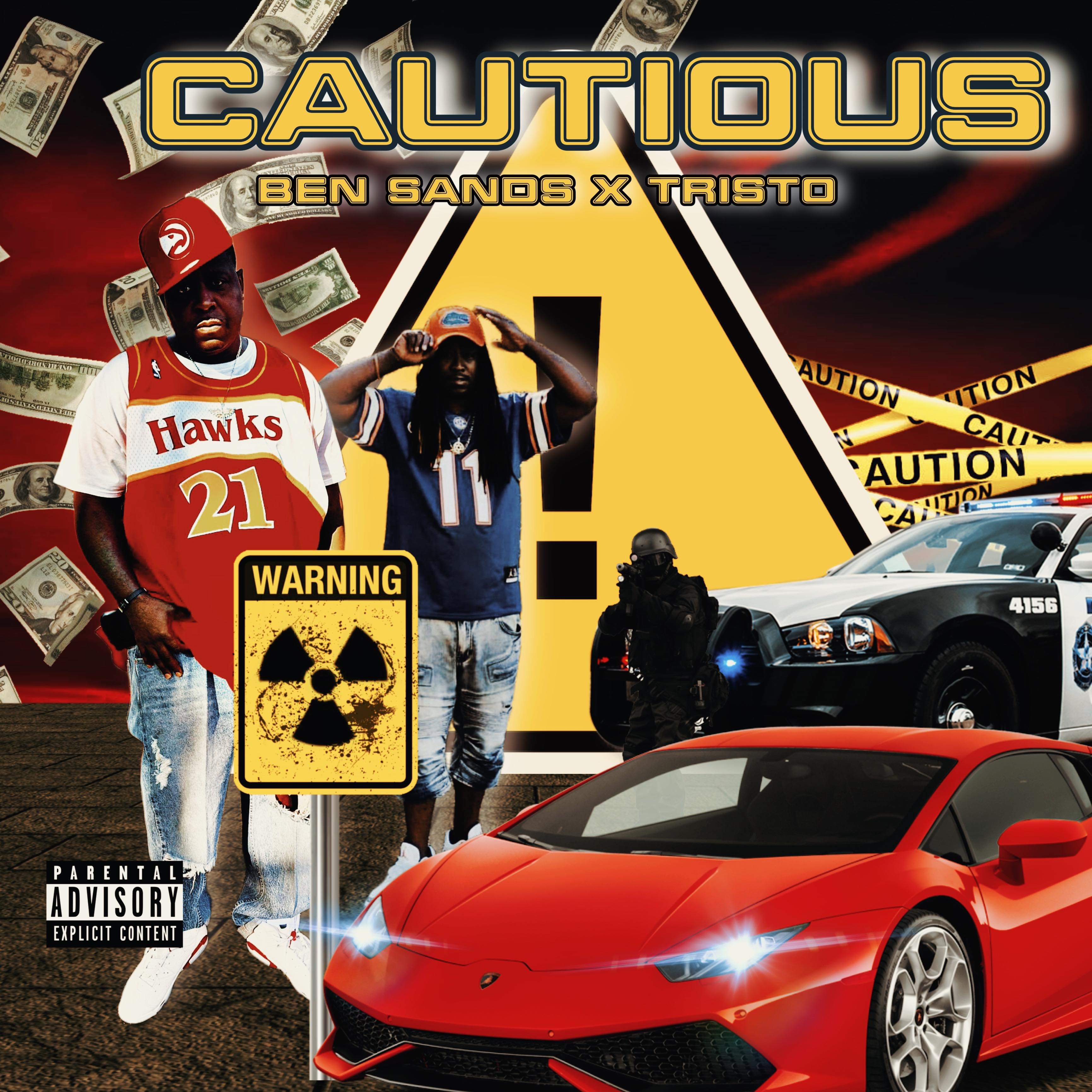 Cautious 1 artwork