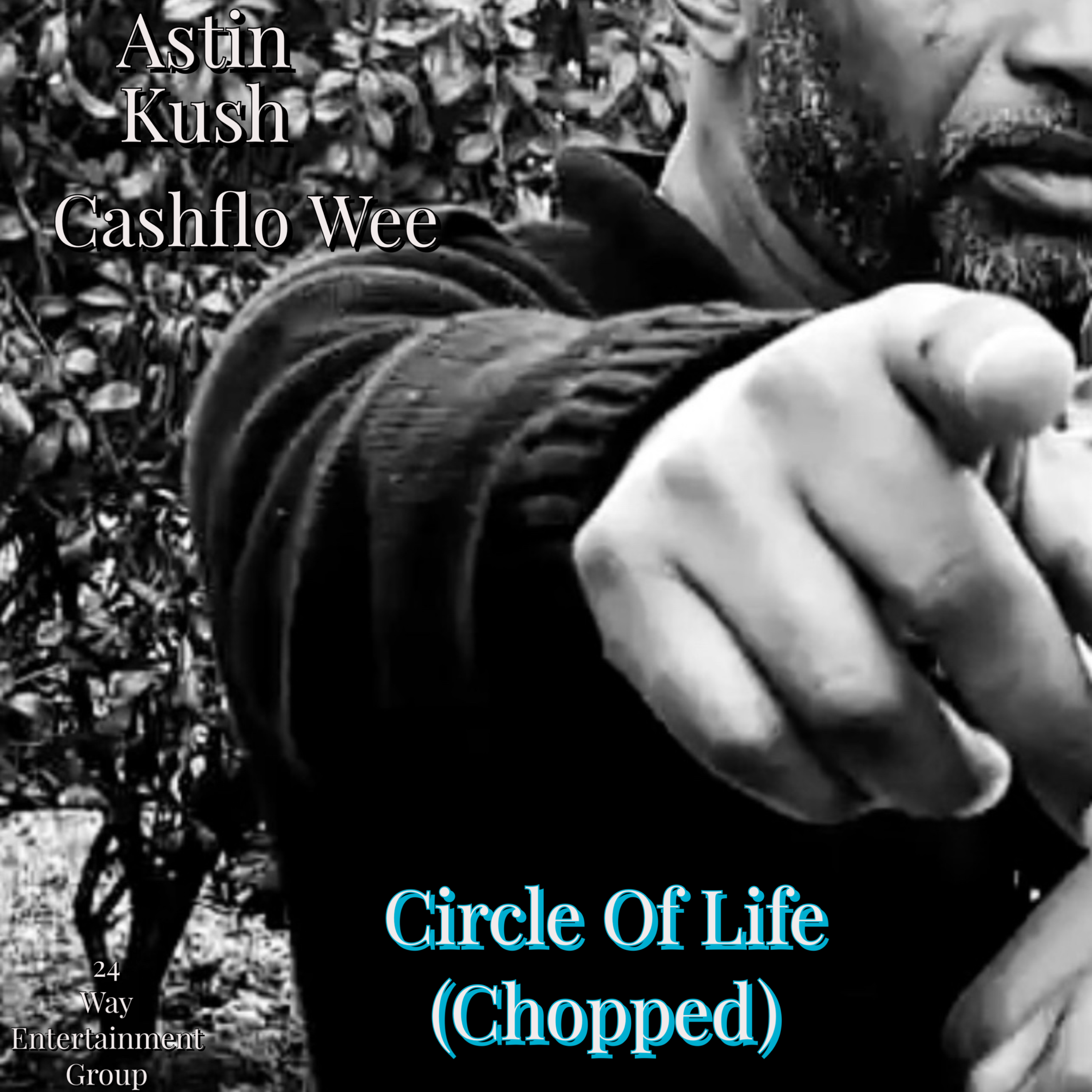 Circle Of Life (Chopped) artwork
