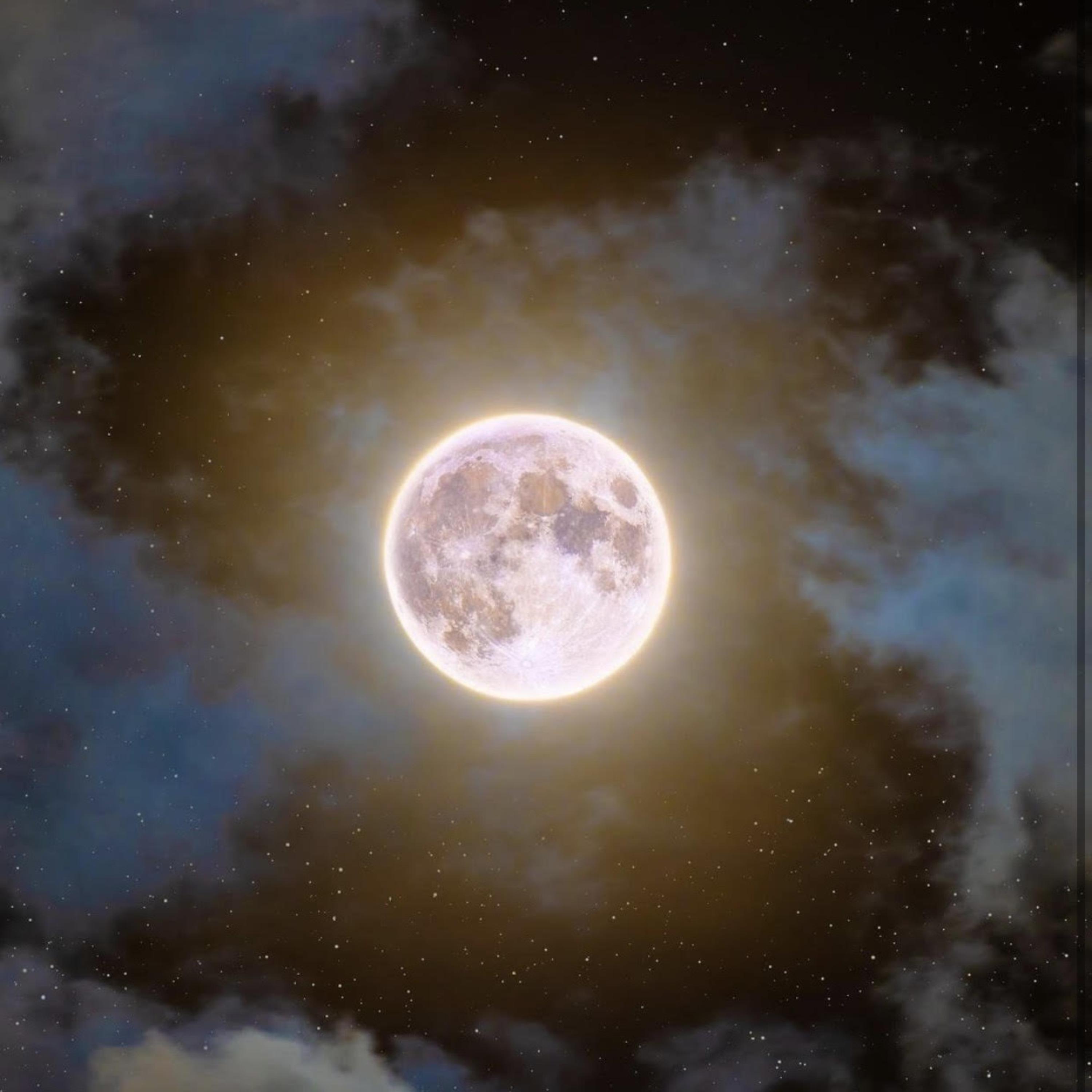 Bonnie N Clyde artwork