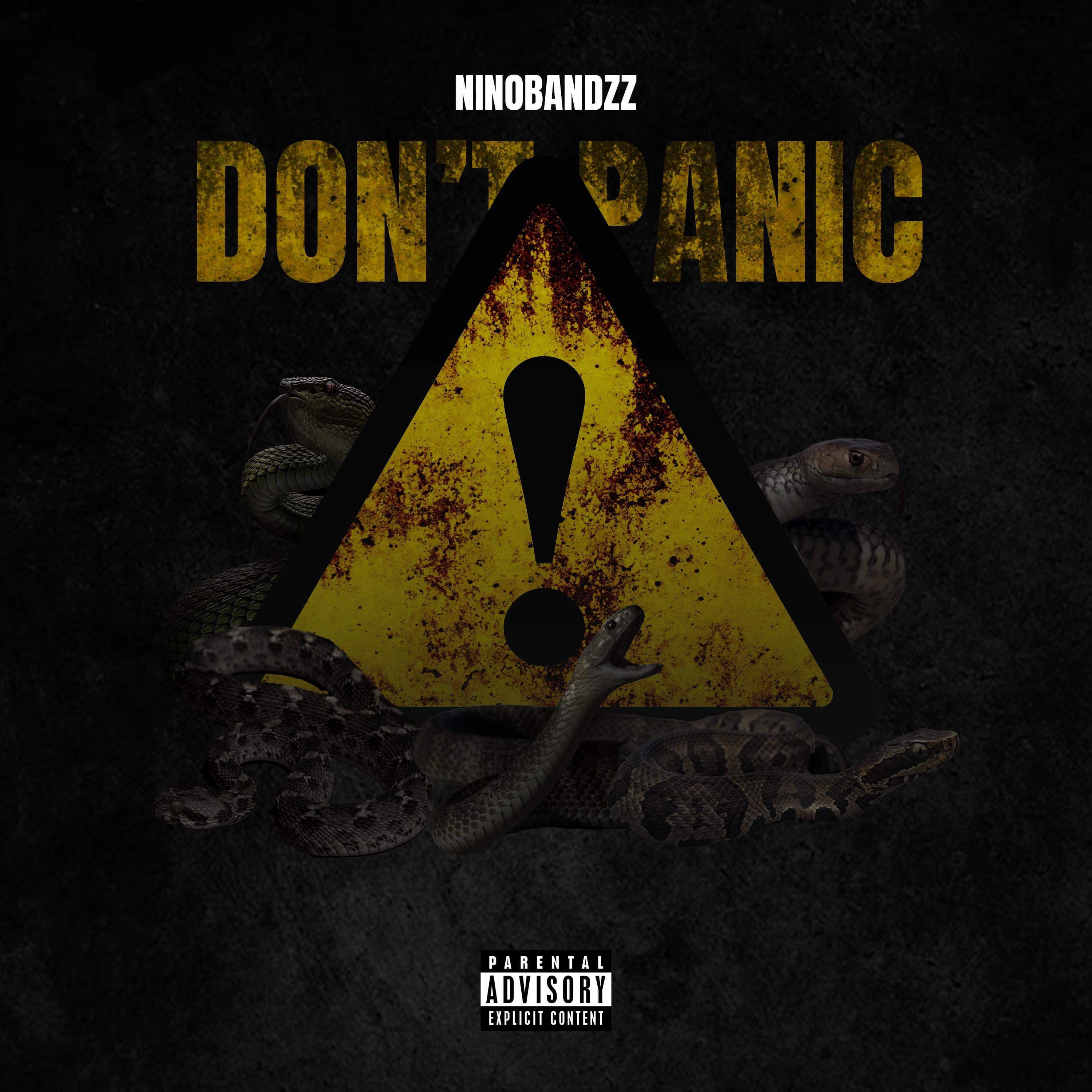 Don’t Panic by Nino Bandzz cover art